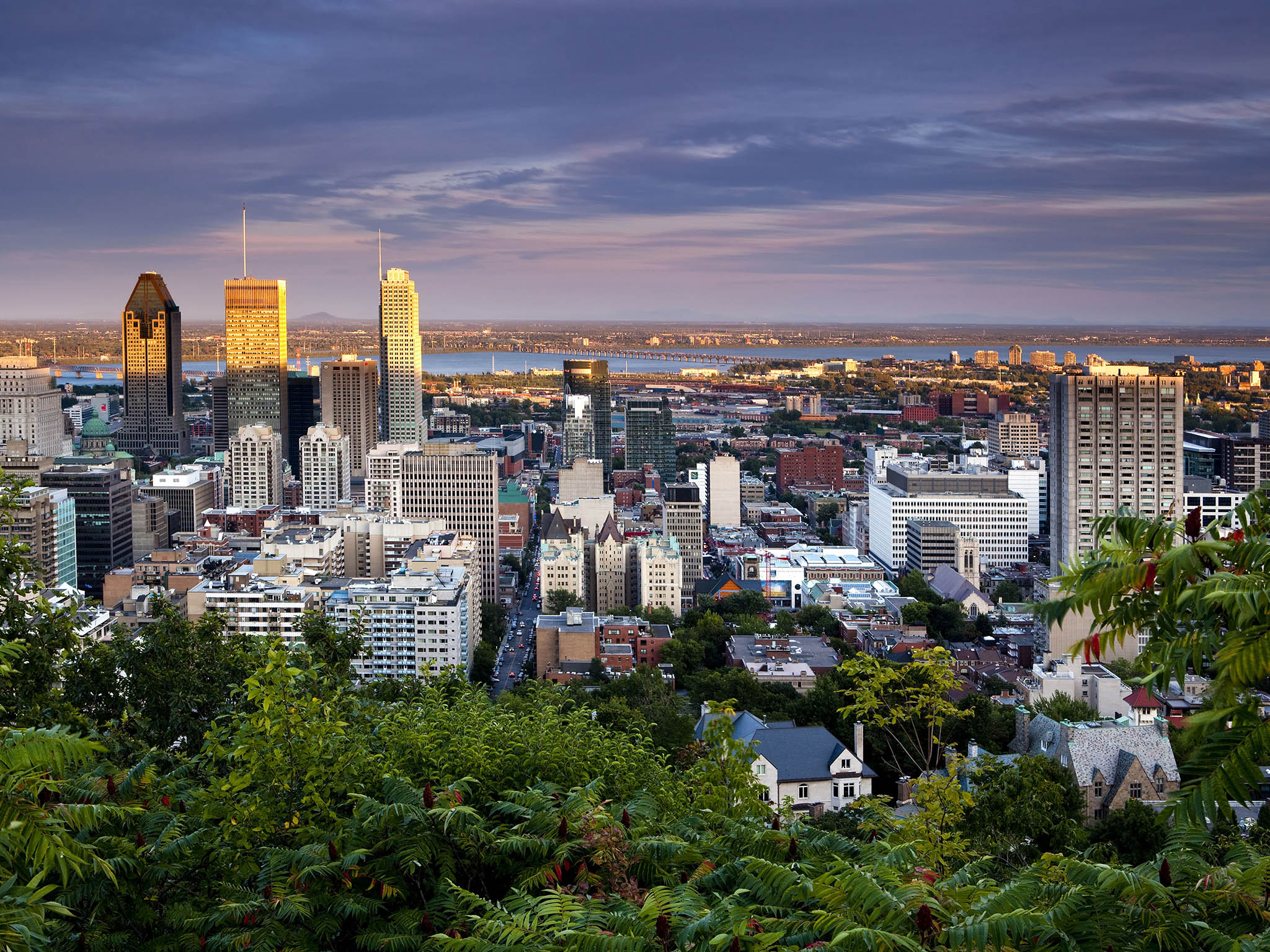 The view from Mount Royal