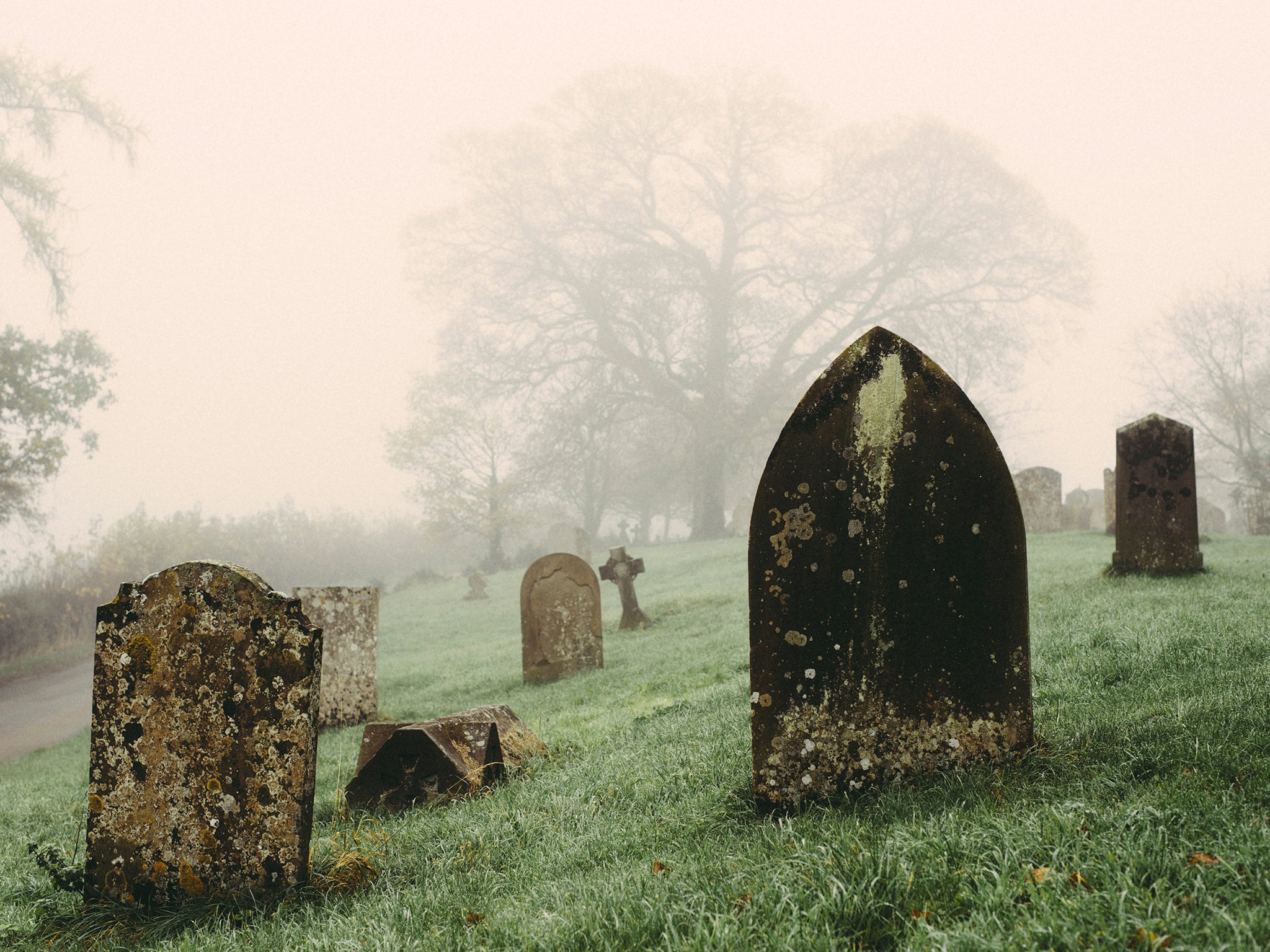 Tombstones in a graveyard