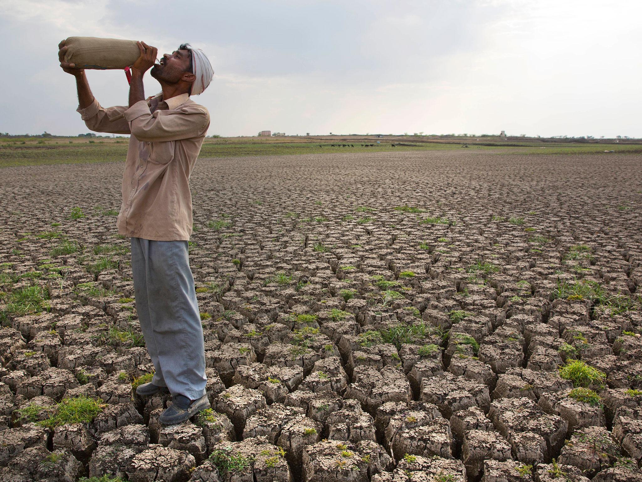 A shepherd drinks water on the dry bed of a reservoir that once supplied water to Latur in Marathwada