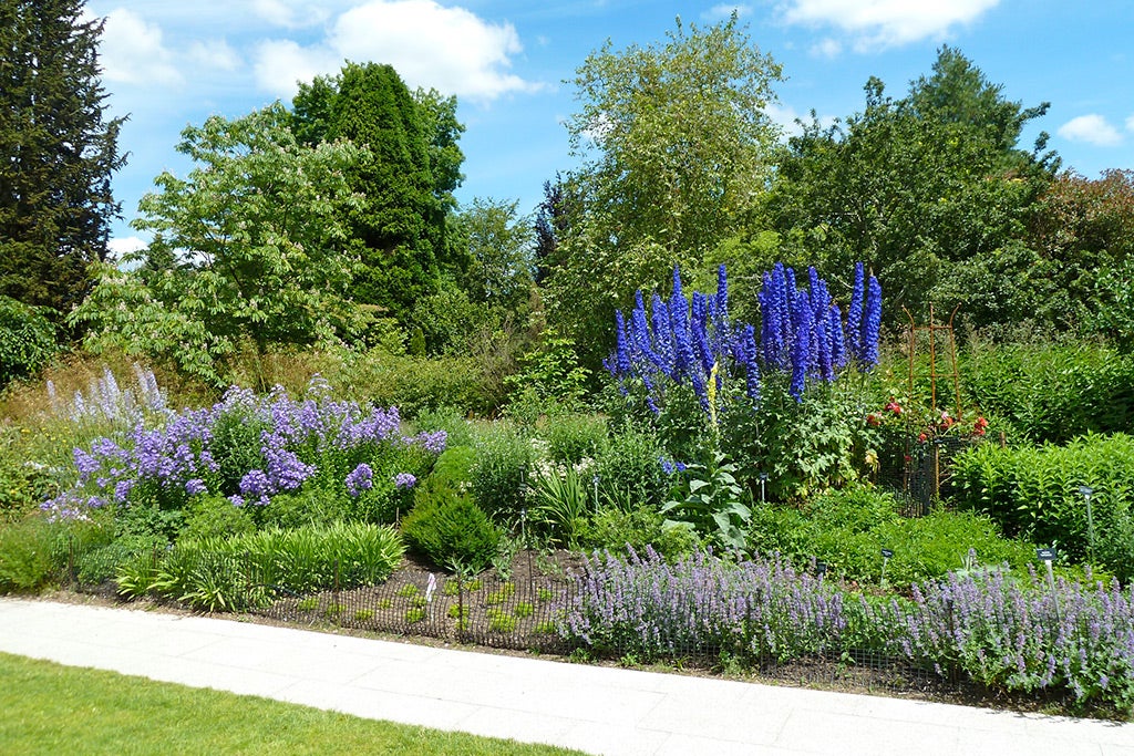 Sir Harold Hillier Gardens