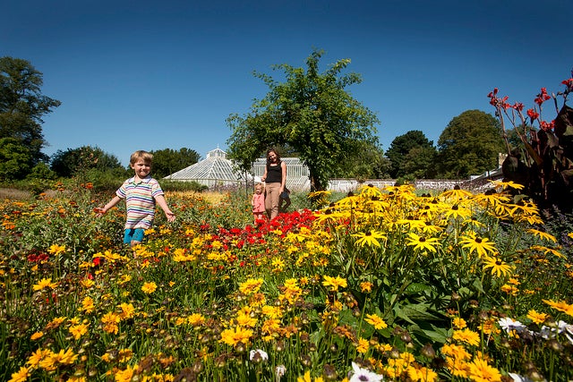 Staunton's kitchen garden