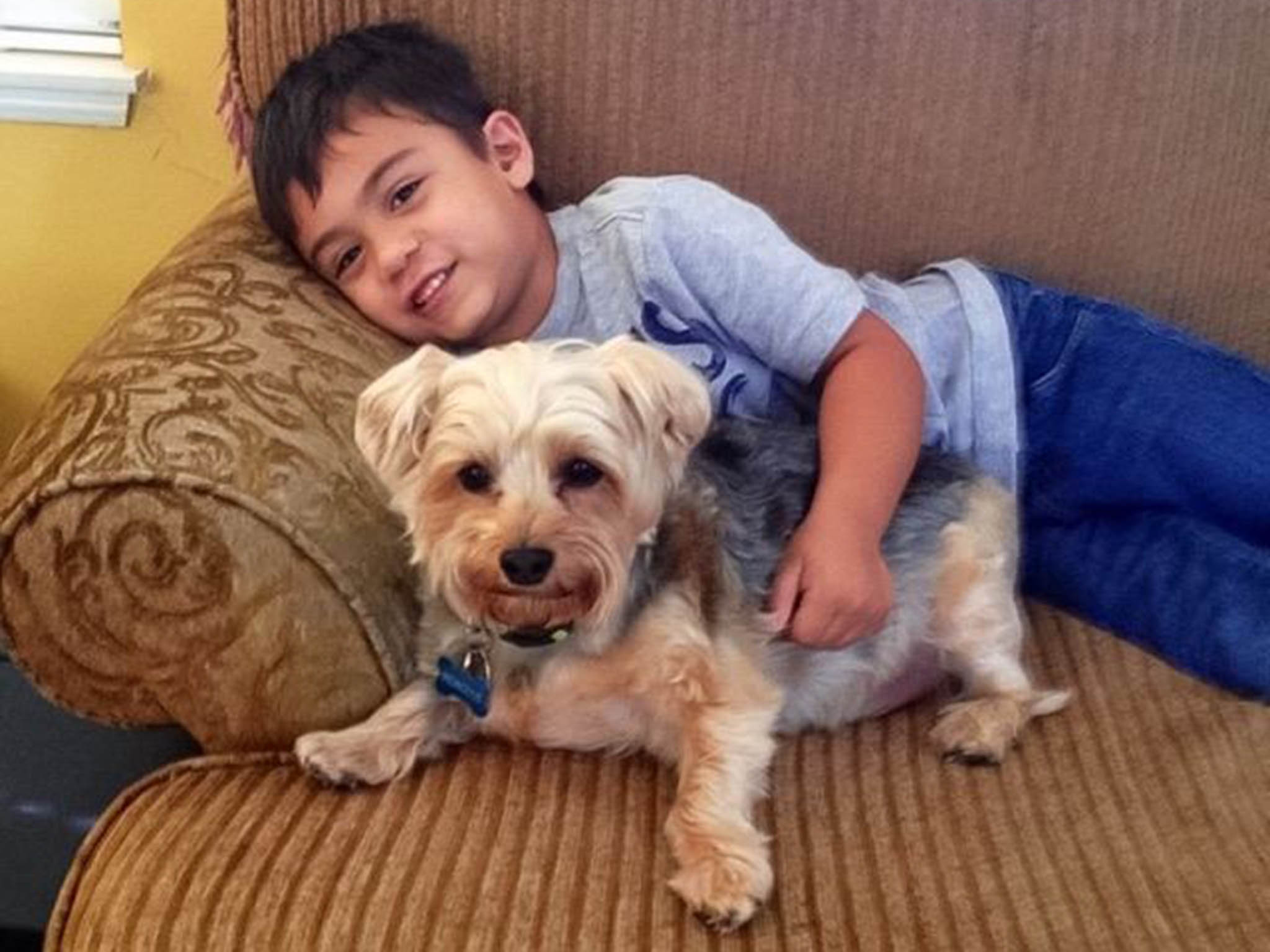 Reading the dogs has also helped Jacob's own skills and he reads at the level of an eight or nine year old (Lisa Dekowski-Ferranti )