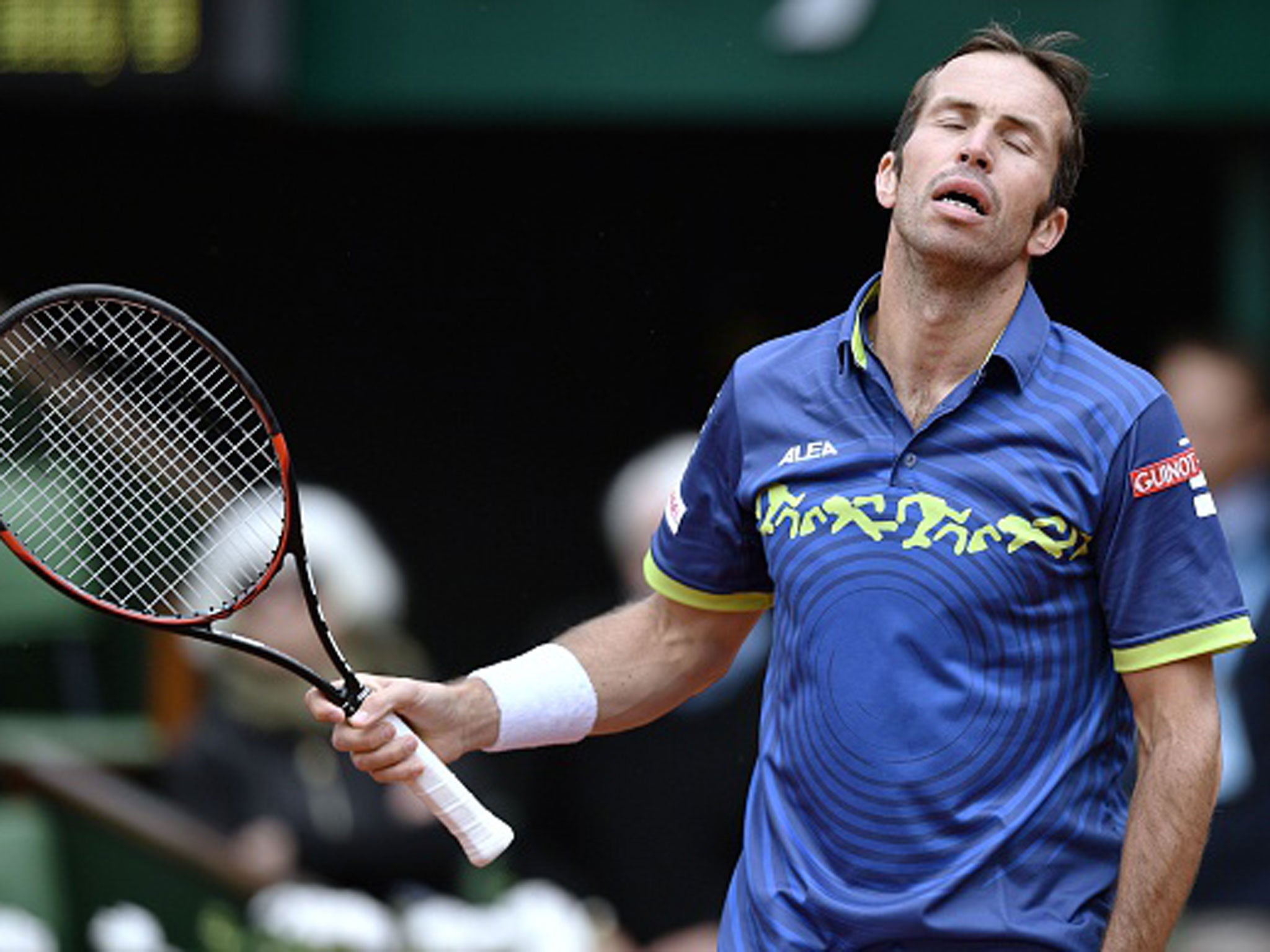 Radek Stepanek was two points from beating the second seed at Roland Garros on Tuesday (Getty)