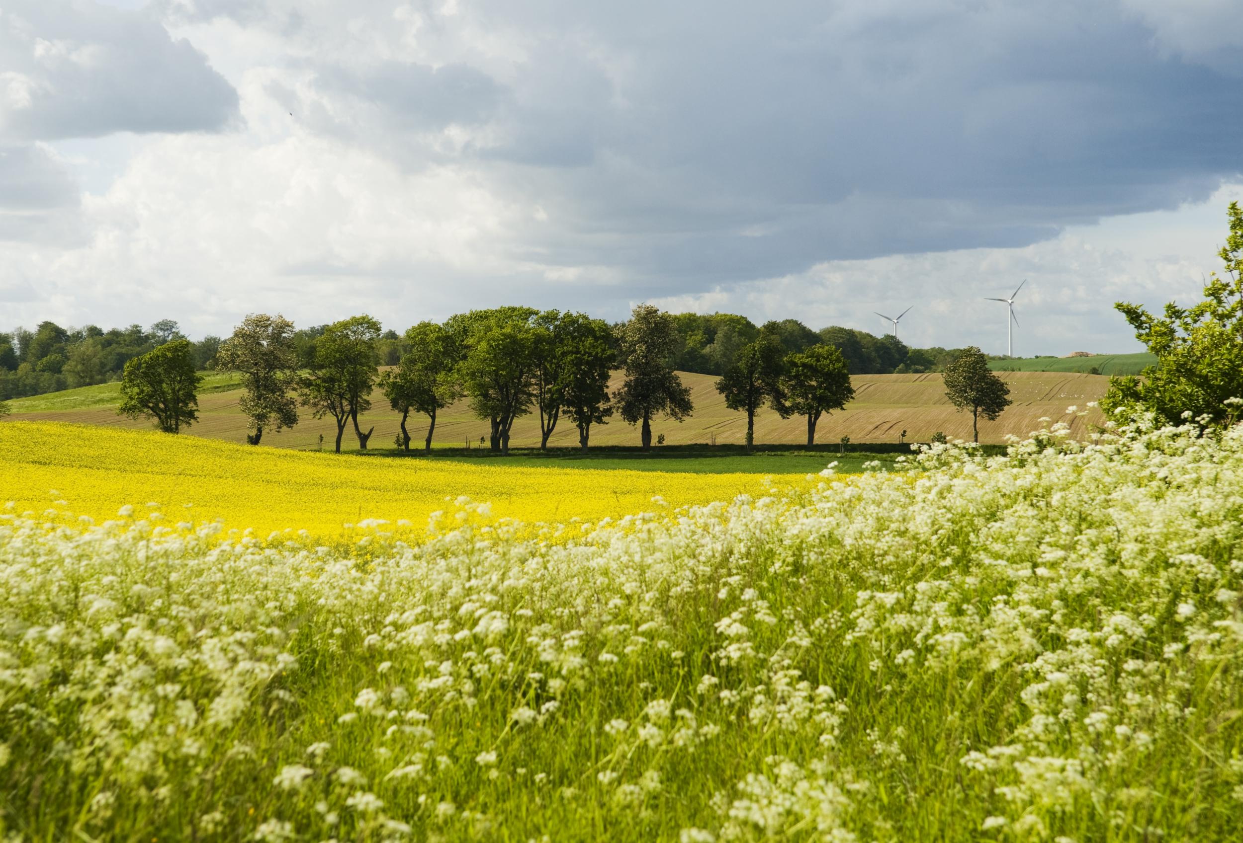 The Skane landscape