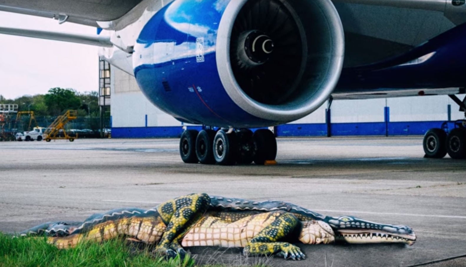 Seeing this from your plane window, would you hasten to Florida or hurry home?