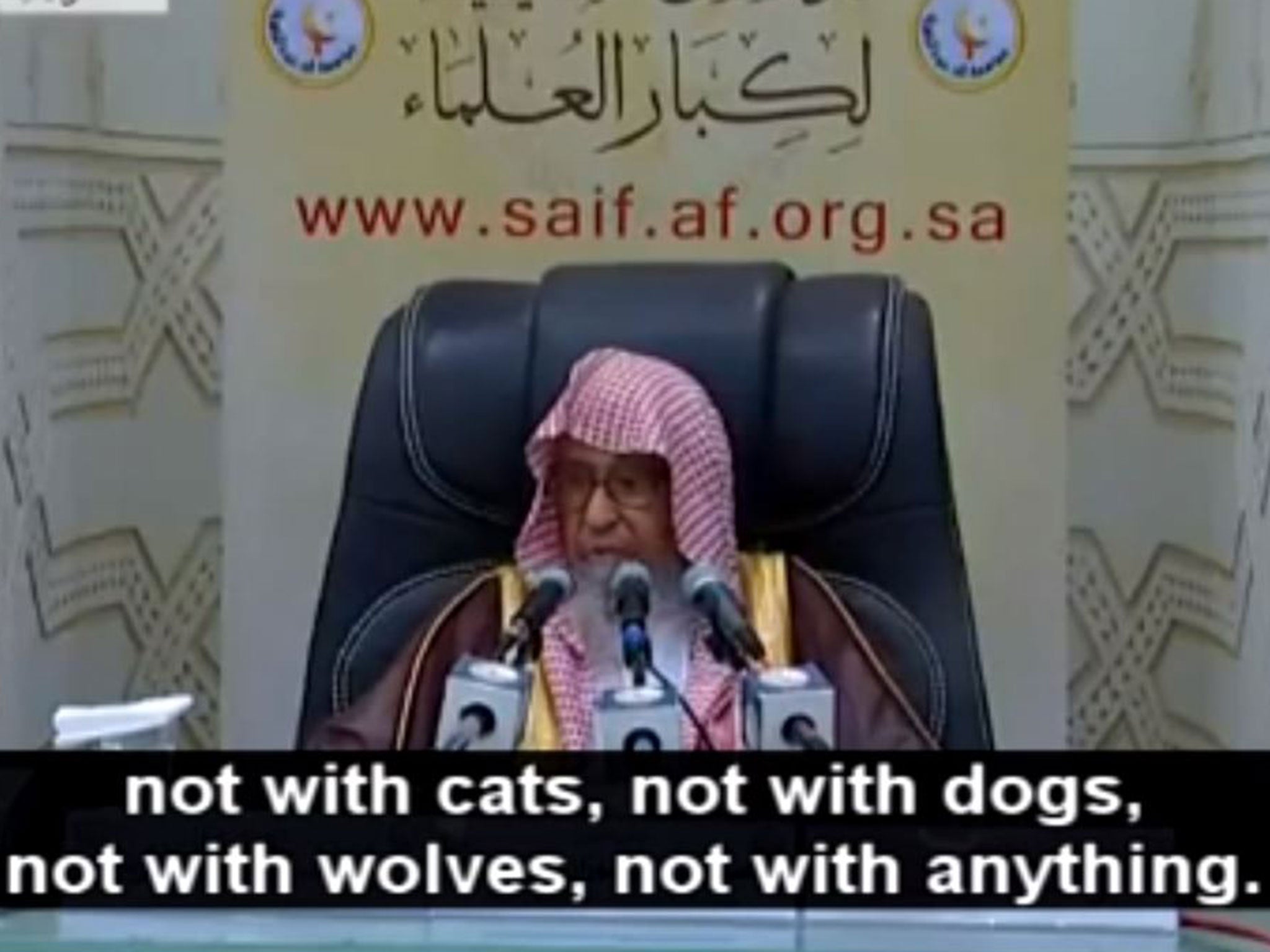 Sheikh Saleh Bin Fawzan Al-Fazwan says people should not take photos with cats, dogs, wolves... or at all