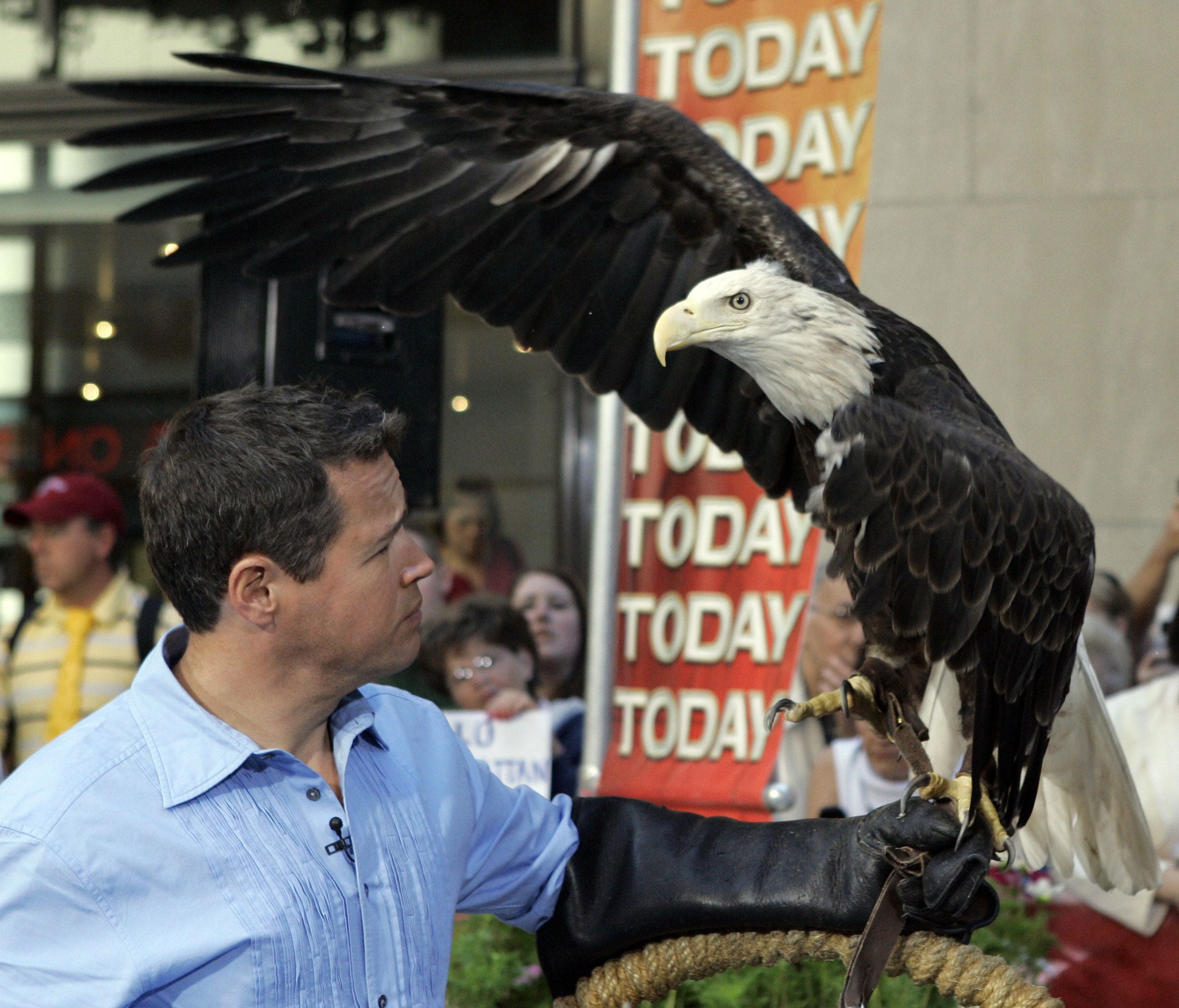 Harriet appeared on NBC in 2007