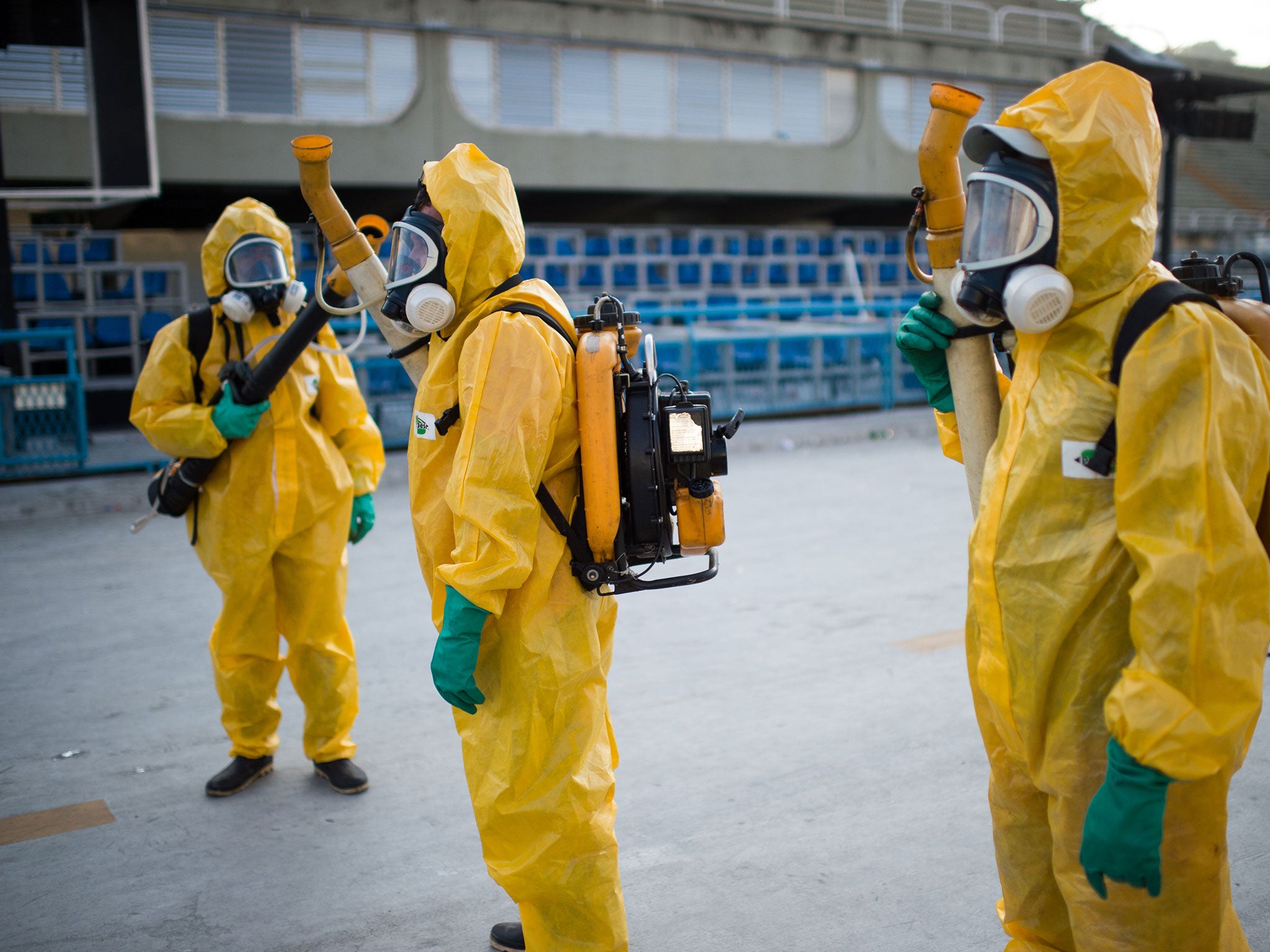 Zika can leave babies with under-developed brains if their mothers are infected