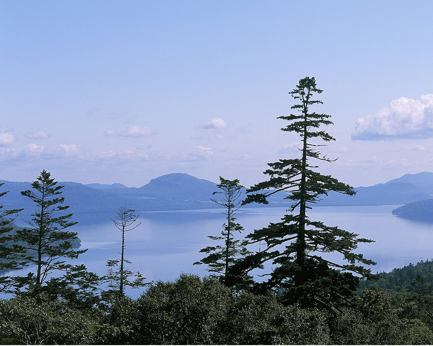 The boy was left for five minutes in a forest on the northern most island of Japan