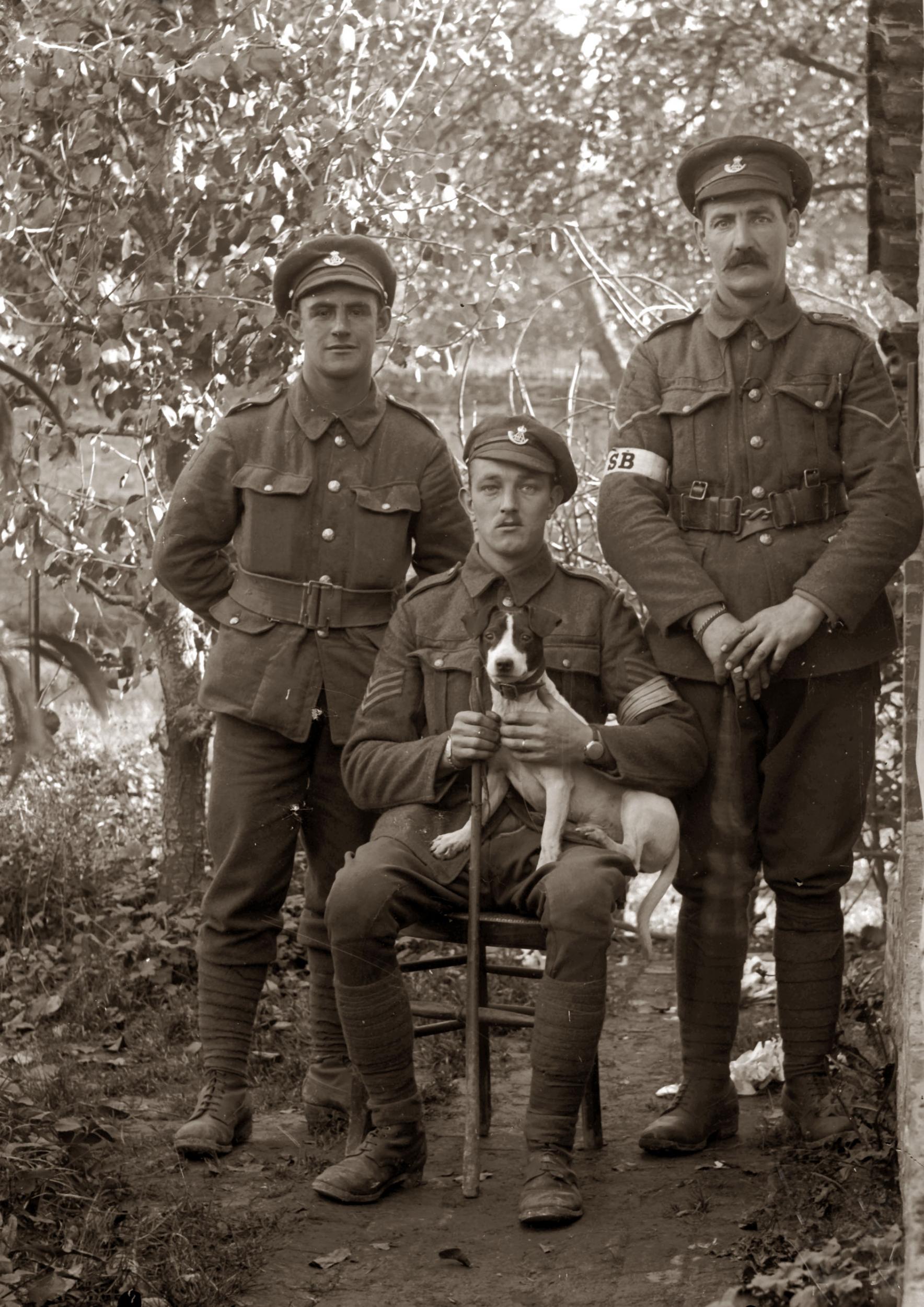 In recent years thousands of photographs from behind the British front line have come to light. For most of the subjects, neither their identity nor their fate is known