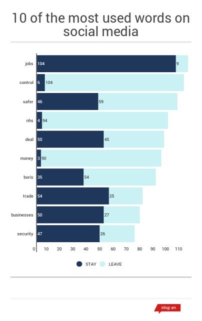 This graph shows 10 of the most used words by the Leave and Remain campaigns.