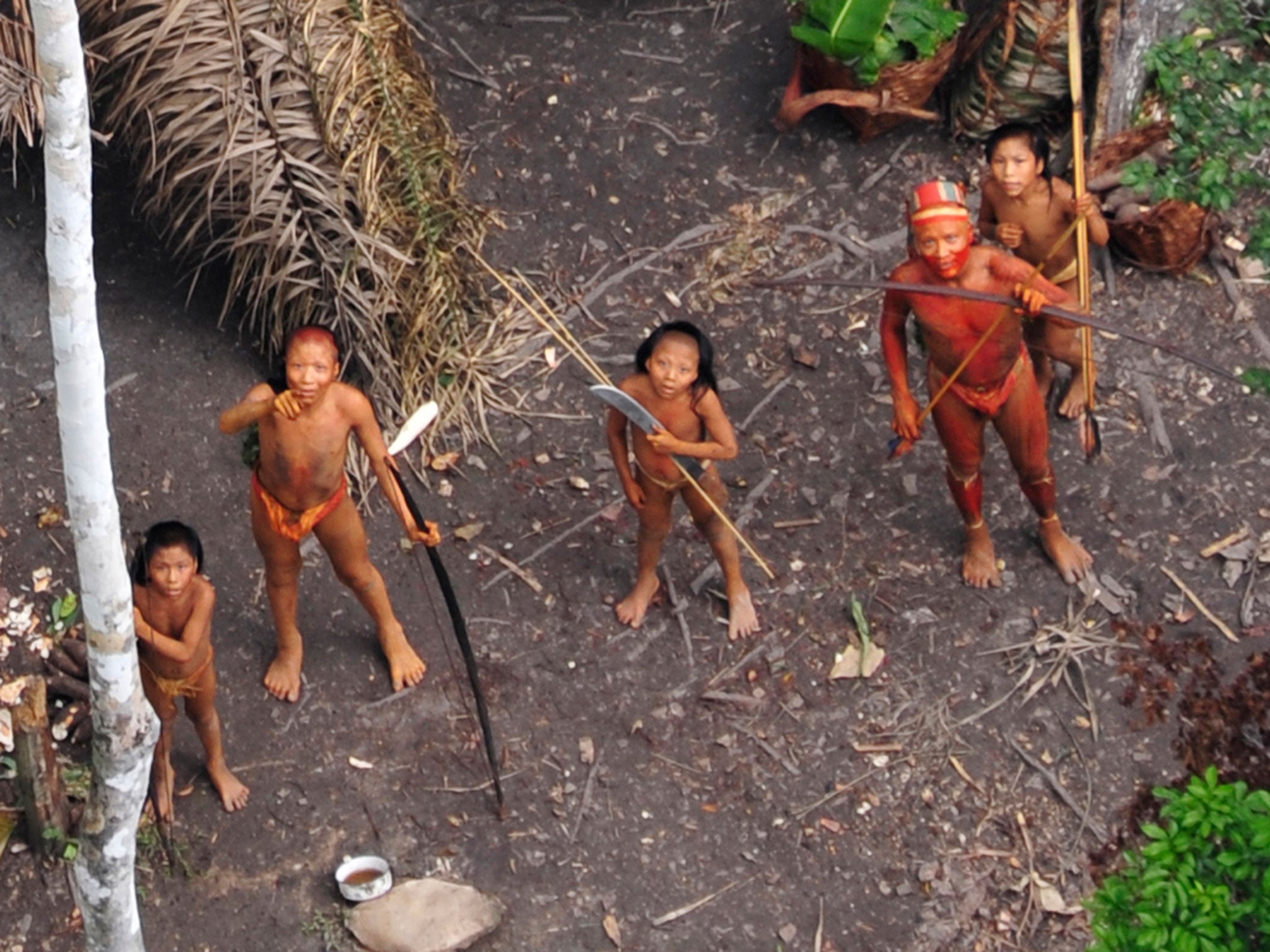 Uncontacted Brazilian people, photographed from the air