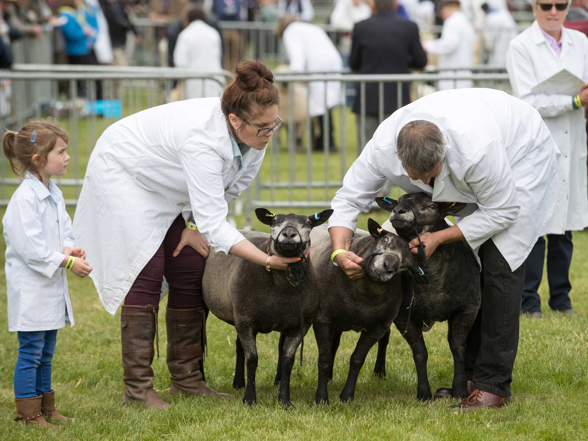 One way or another, the British agricultural sector would be likely reduced in size as the economy adjusts