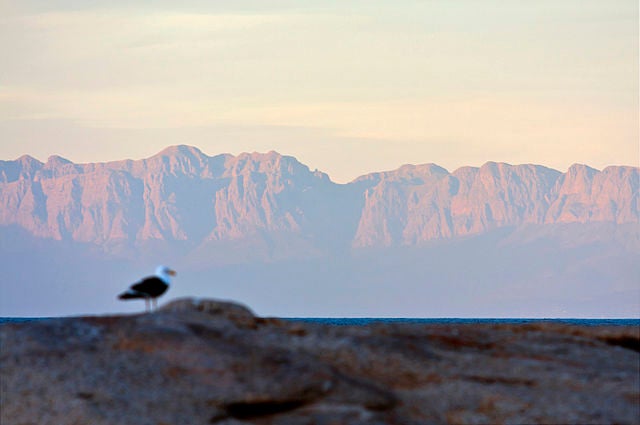 False Bay at sunset (Rob Schleiffert)