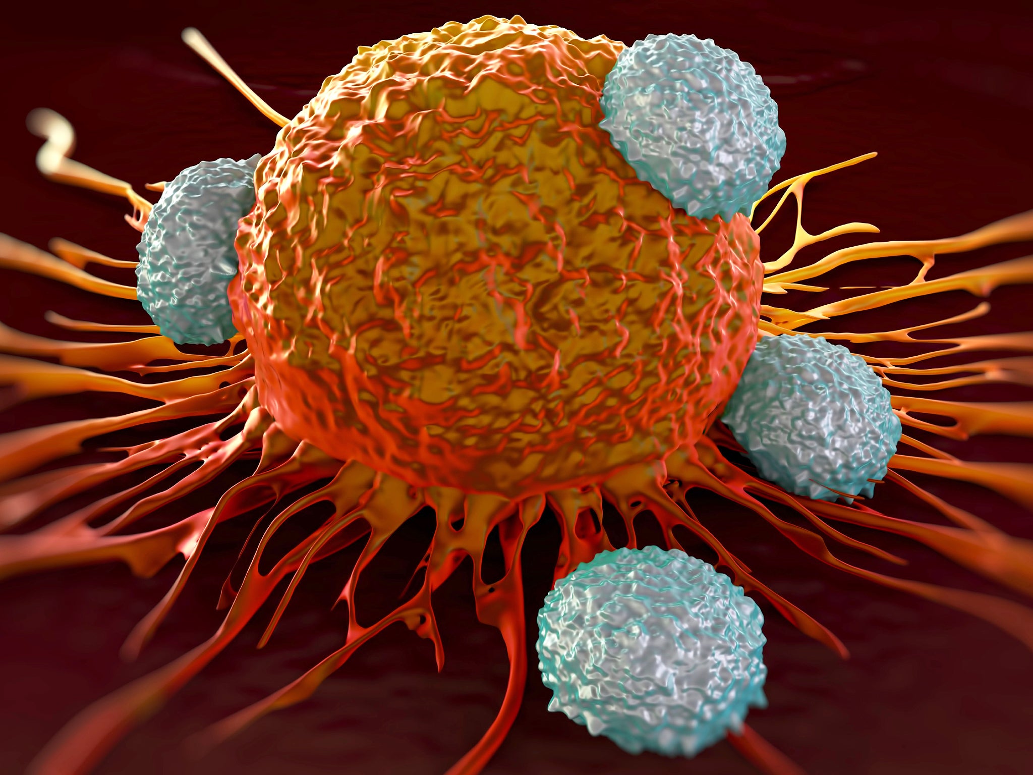 The vaccine prompted the body to make killer T-cells designed to attack cancer cells