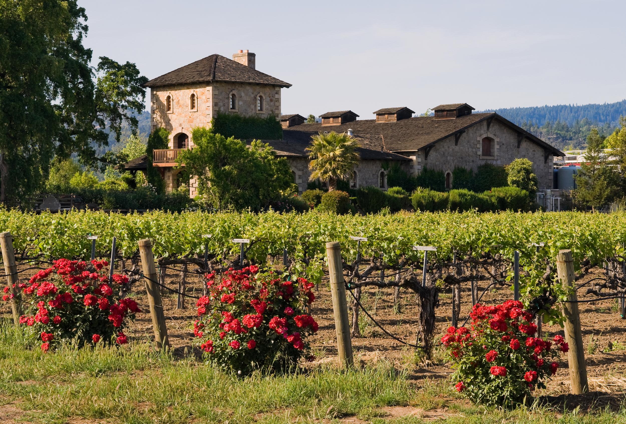 A Napa Valley winery