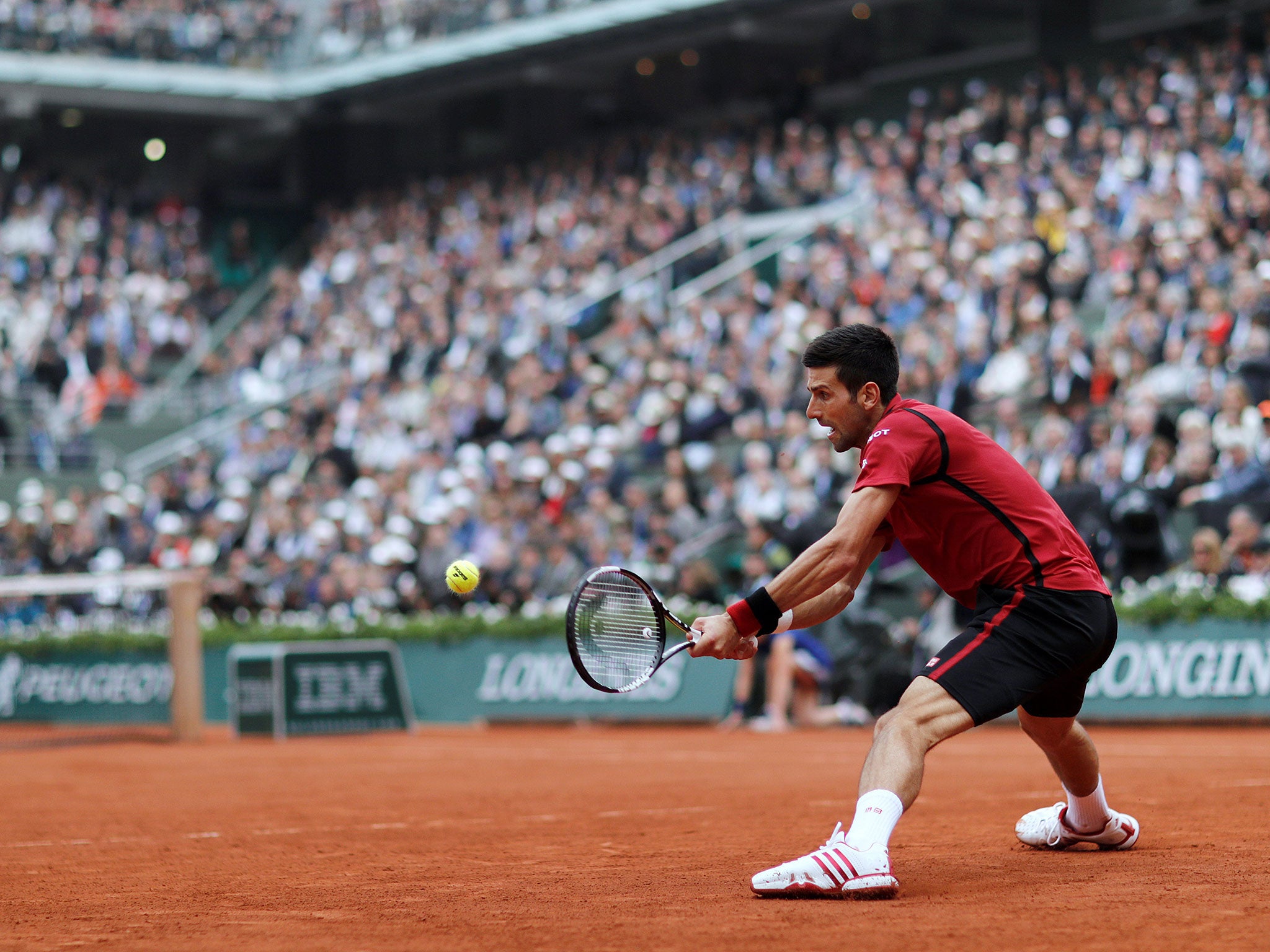 Novak Djokovic in the French Open final