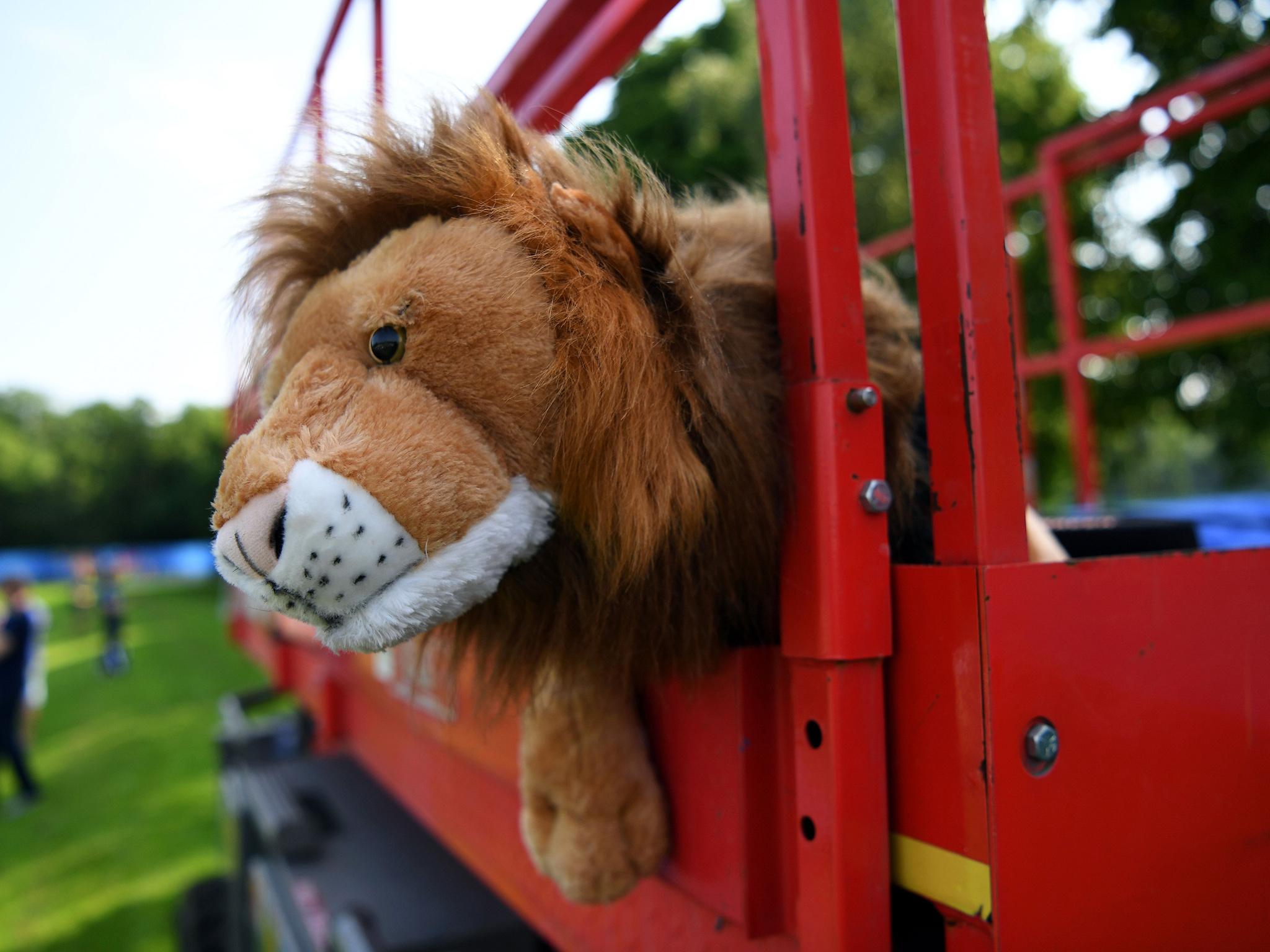 One of the England team's three cuddly toy lions