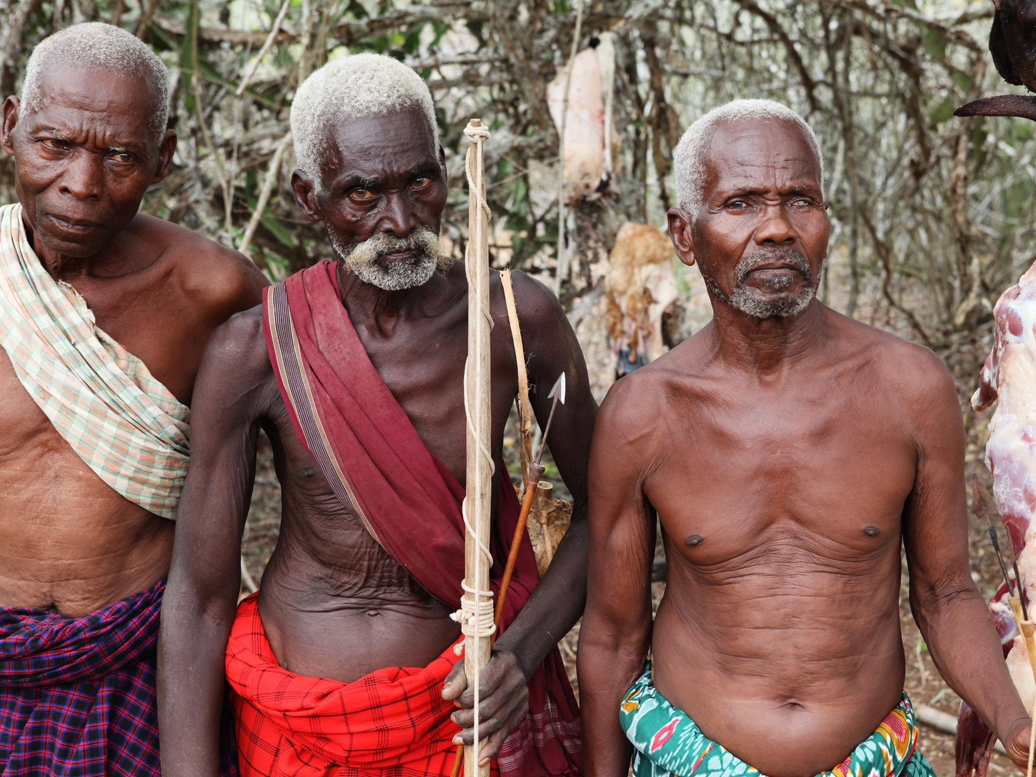 The initiative also works with local communities for them to see local elephant populations as a resource that brings jobs and foreign exchange, and to utilise their native skills and knowledge of the local area for the conservation cause.