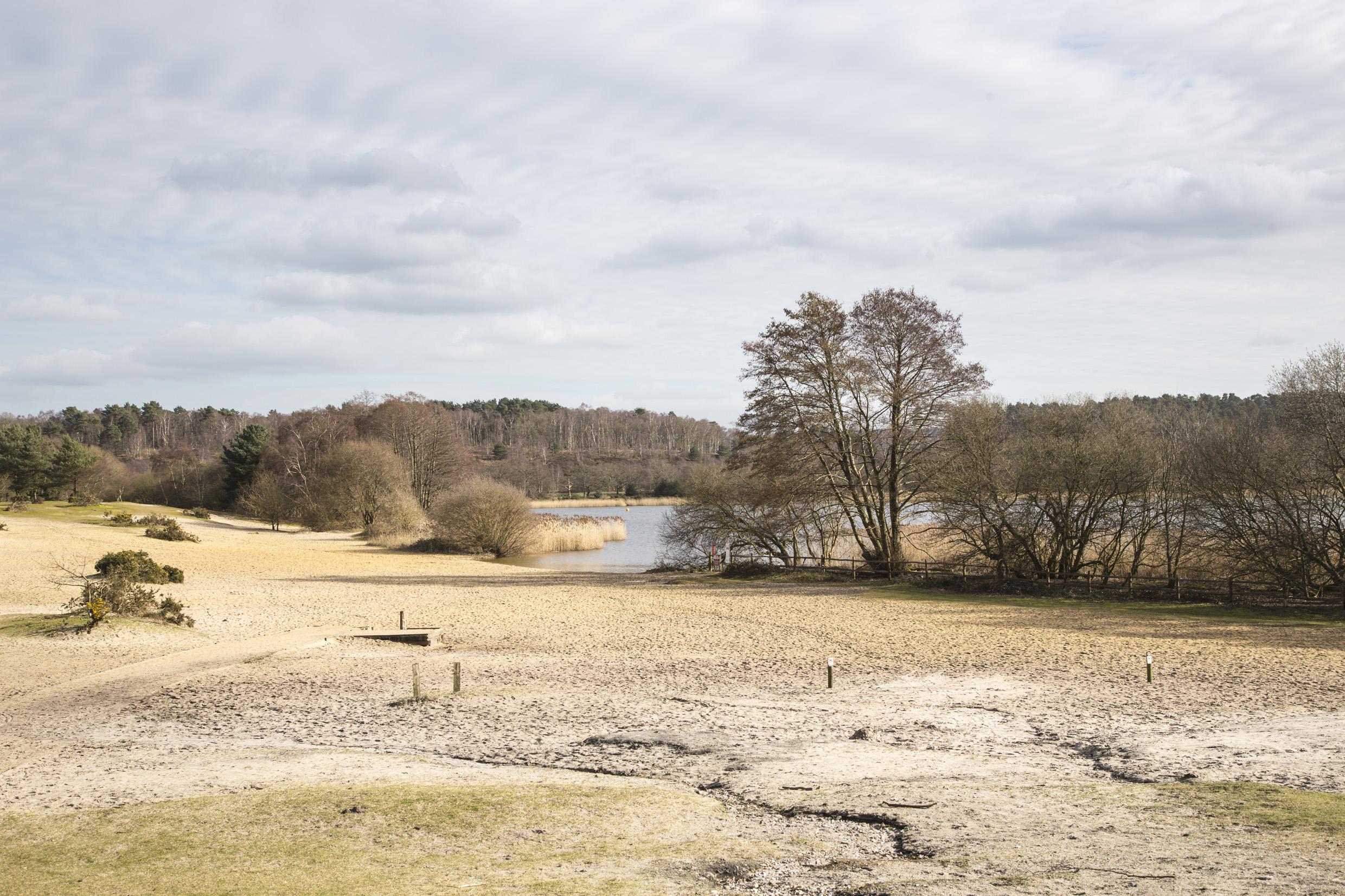 This splendid spot is the perfect place for a picnic