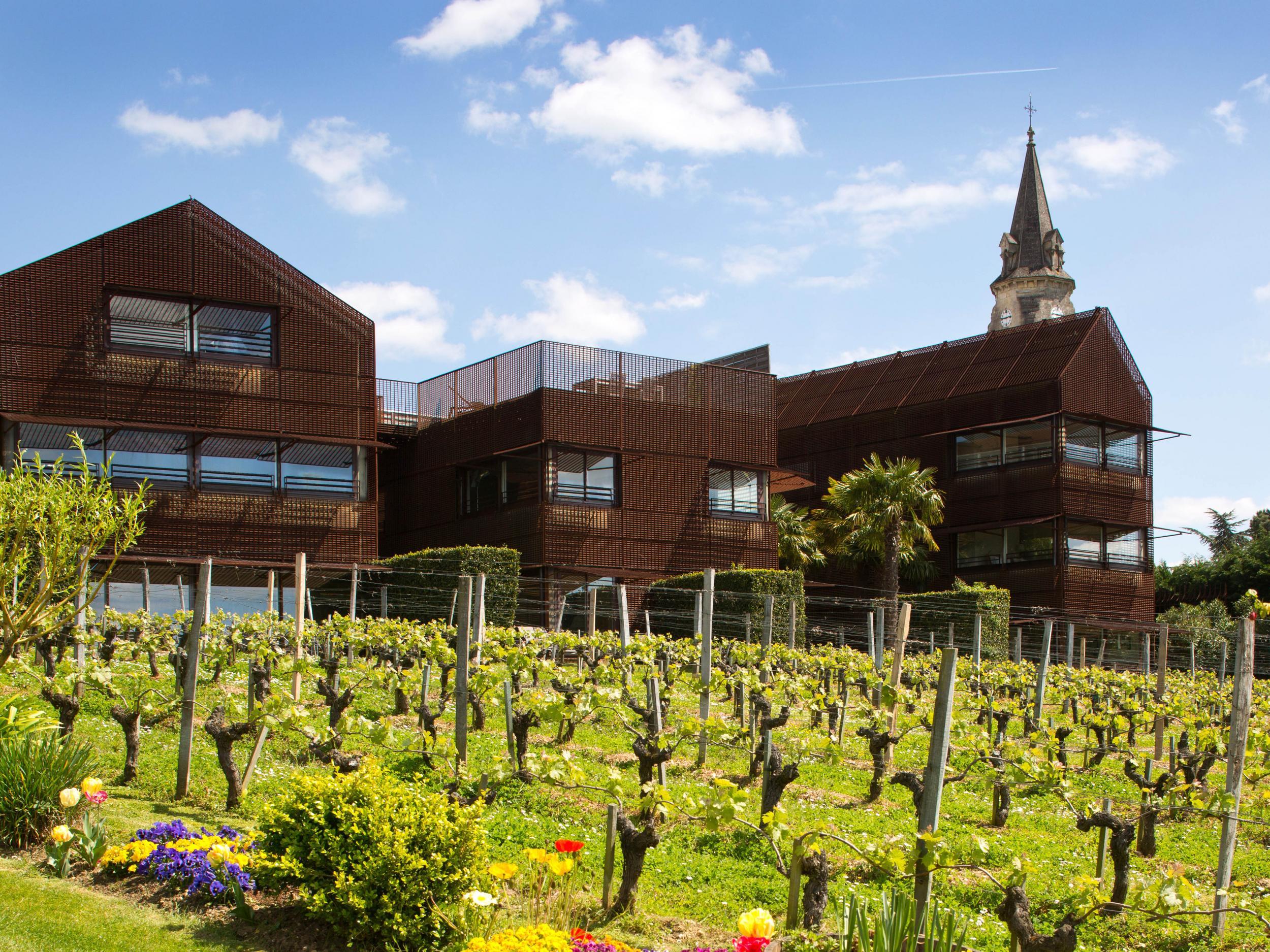 Vue des vignes - the view of the vineyard