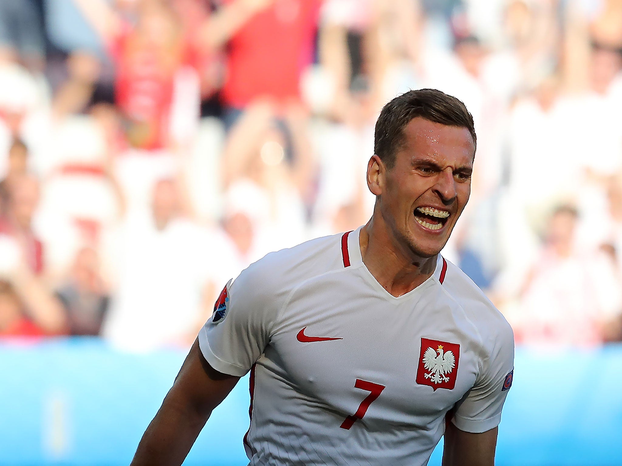 Arkadiusz Milik celebrates his goal for Poland against Northern Ireland