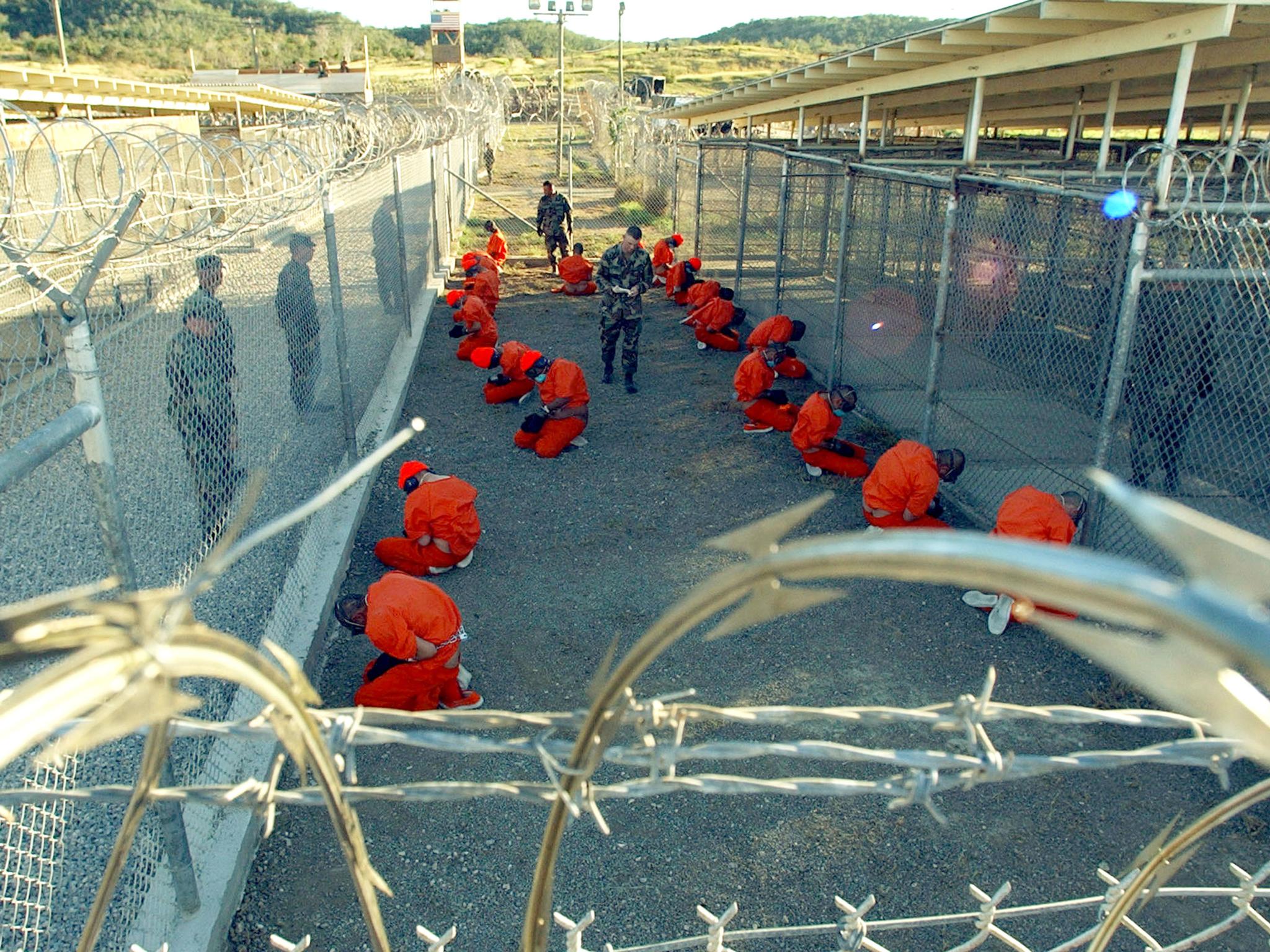 'One possibility is to threaten to place stinging insects into the cramped confinement box with the detainee but instead place harmless insects'