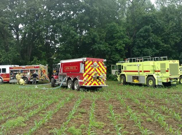 The small plane came down in a heavily wooded area