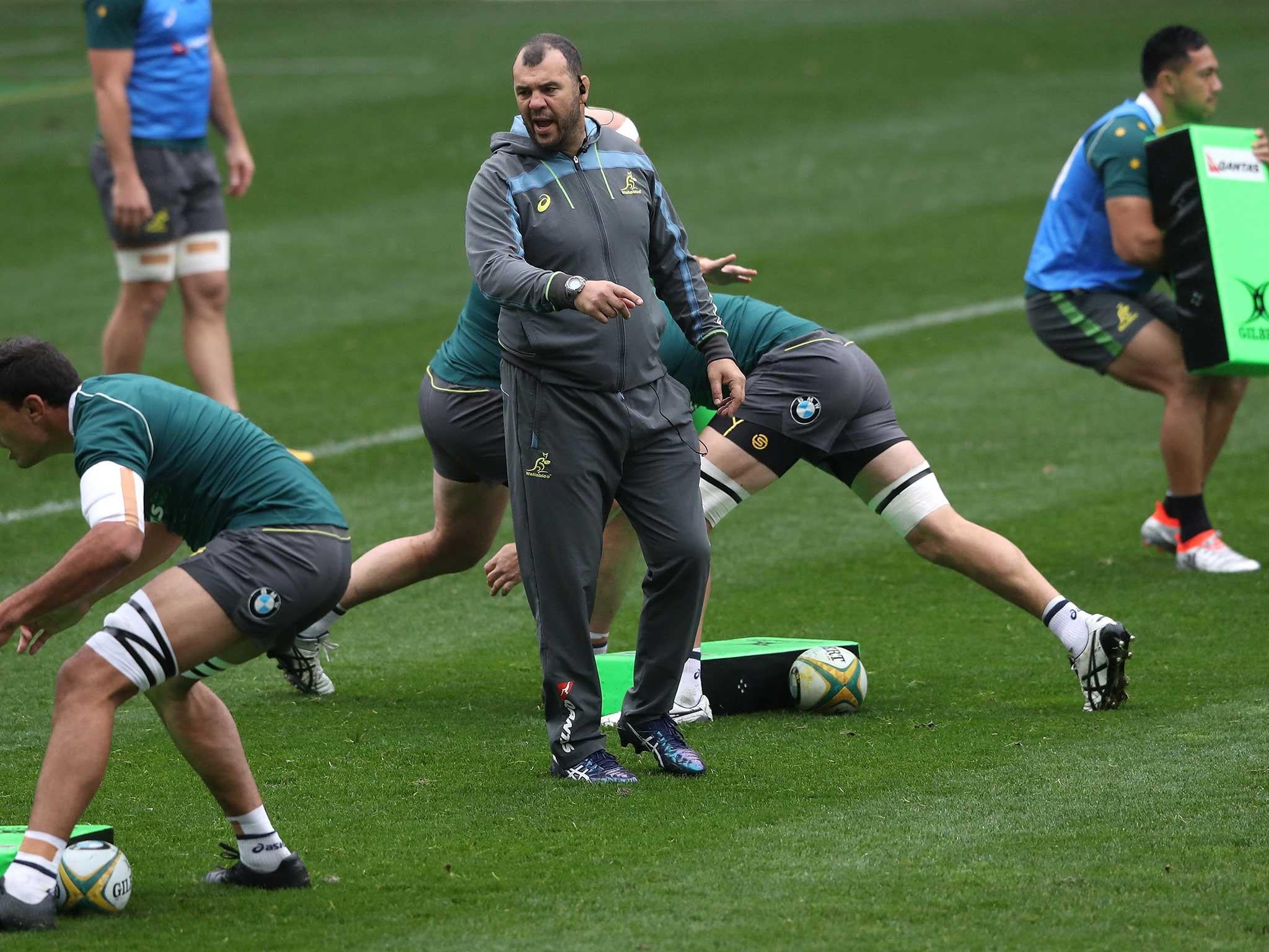 Michael Cheika in training with his Australia team