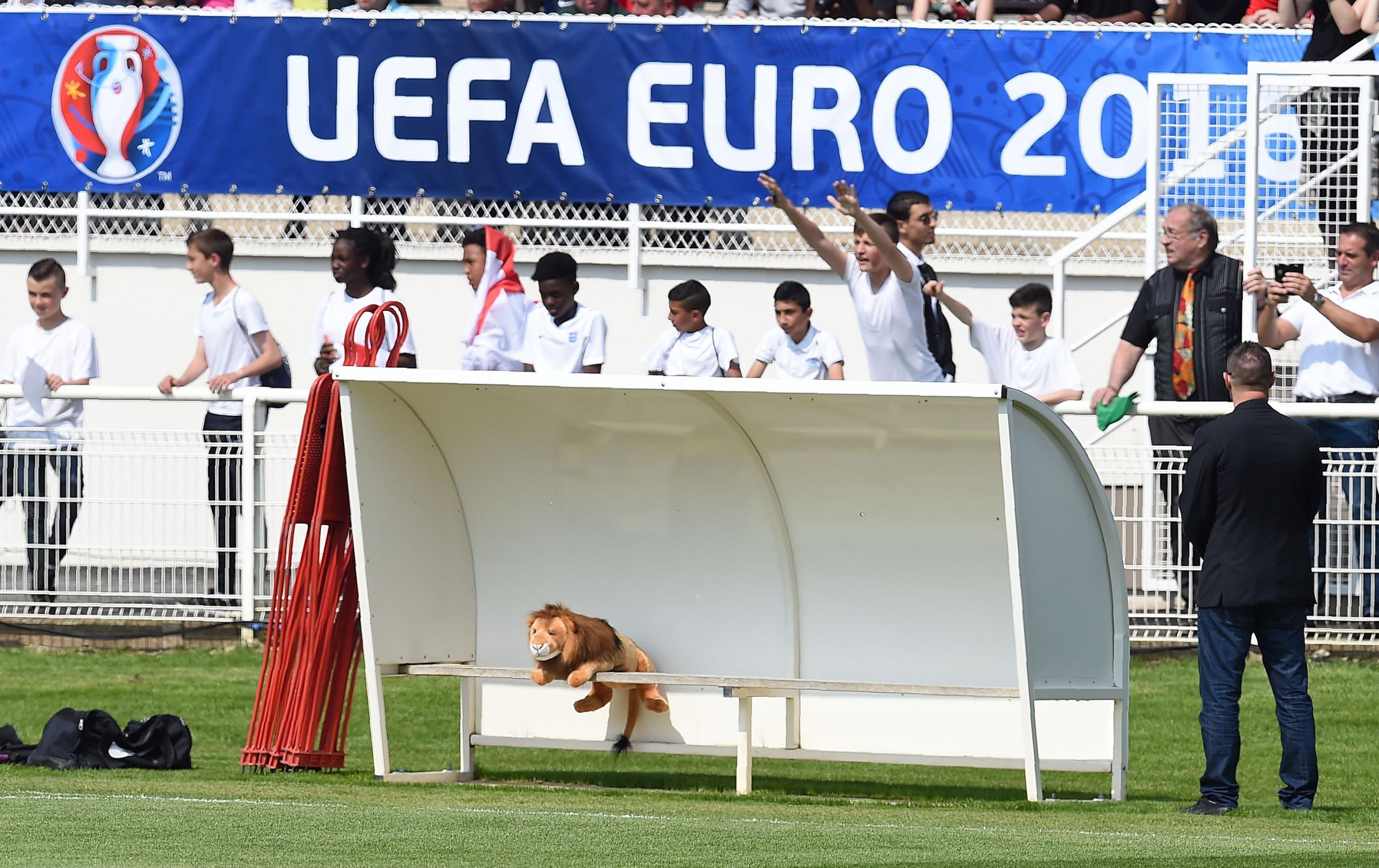 Leo the Lion looks on as England train