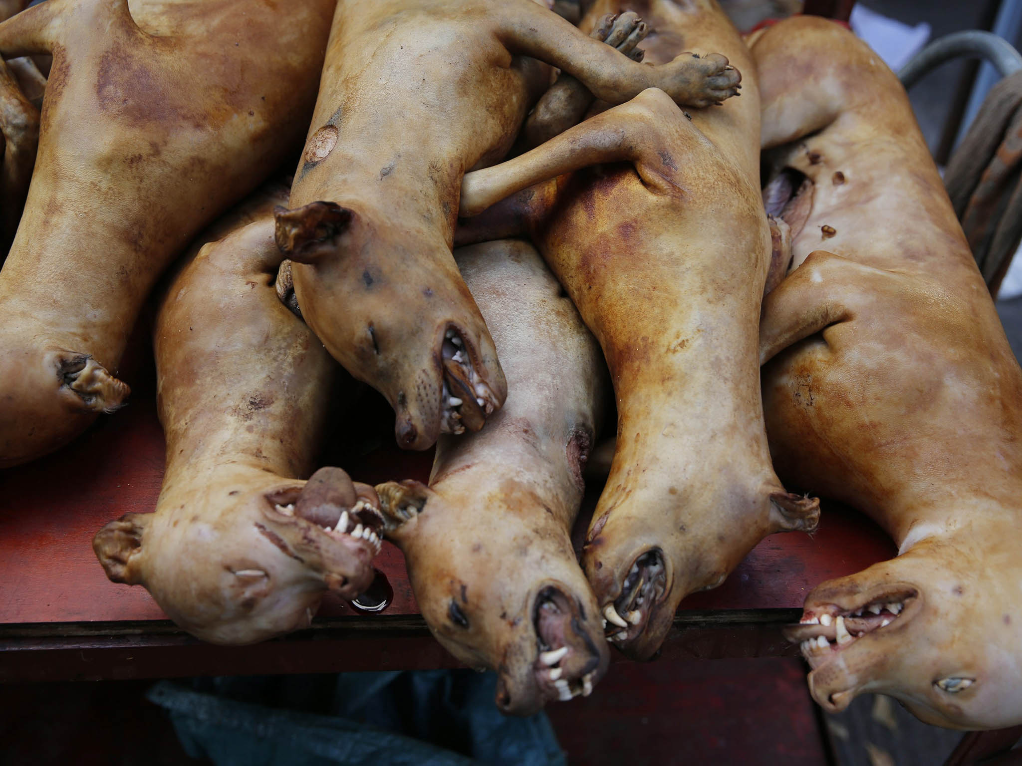 Slaughtered dogs for sale in Yulin, images that have outraged animal lovers