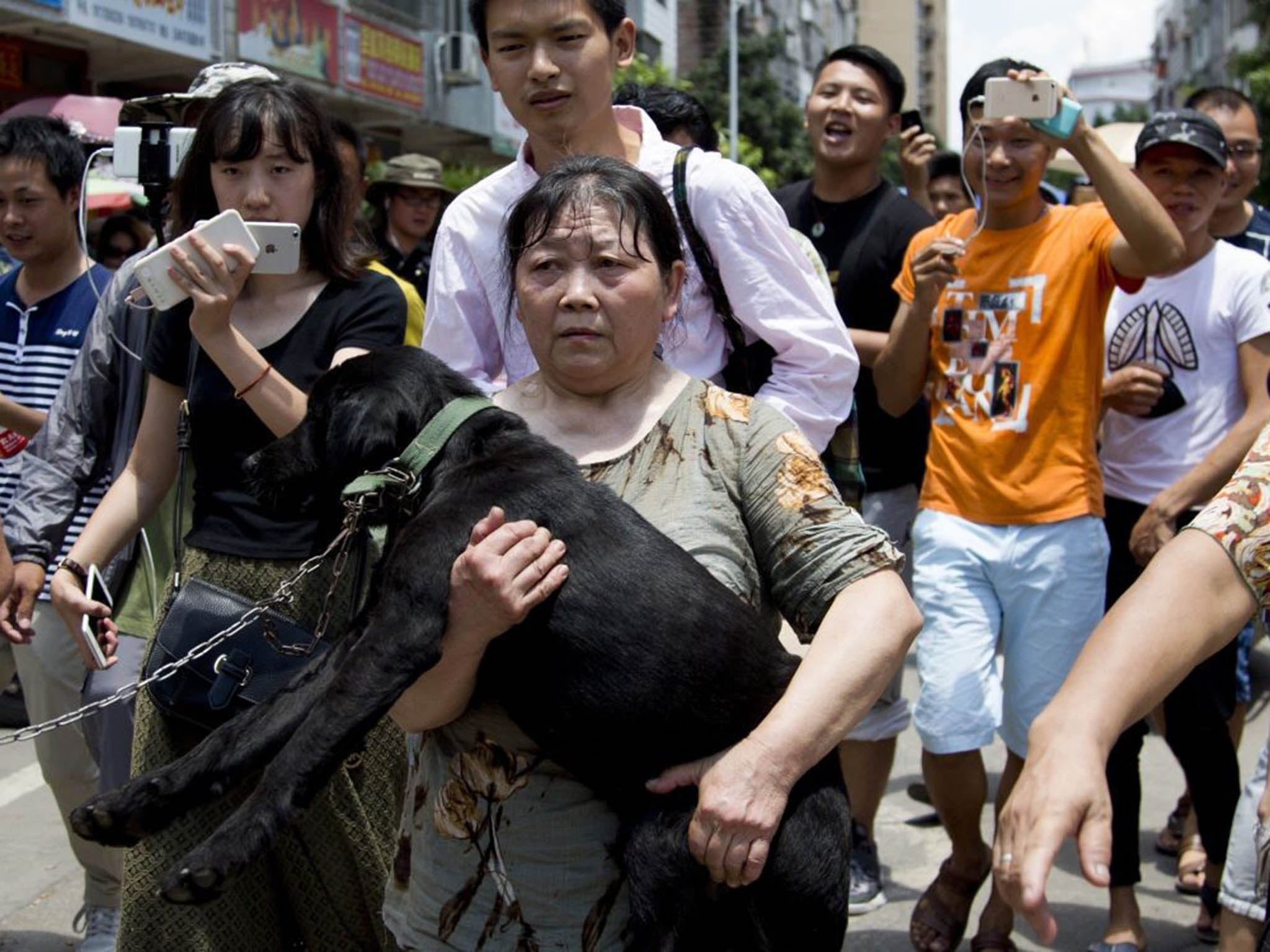 An animal rights activist carries a dog she bought at a market in Yulin