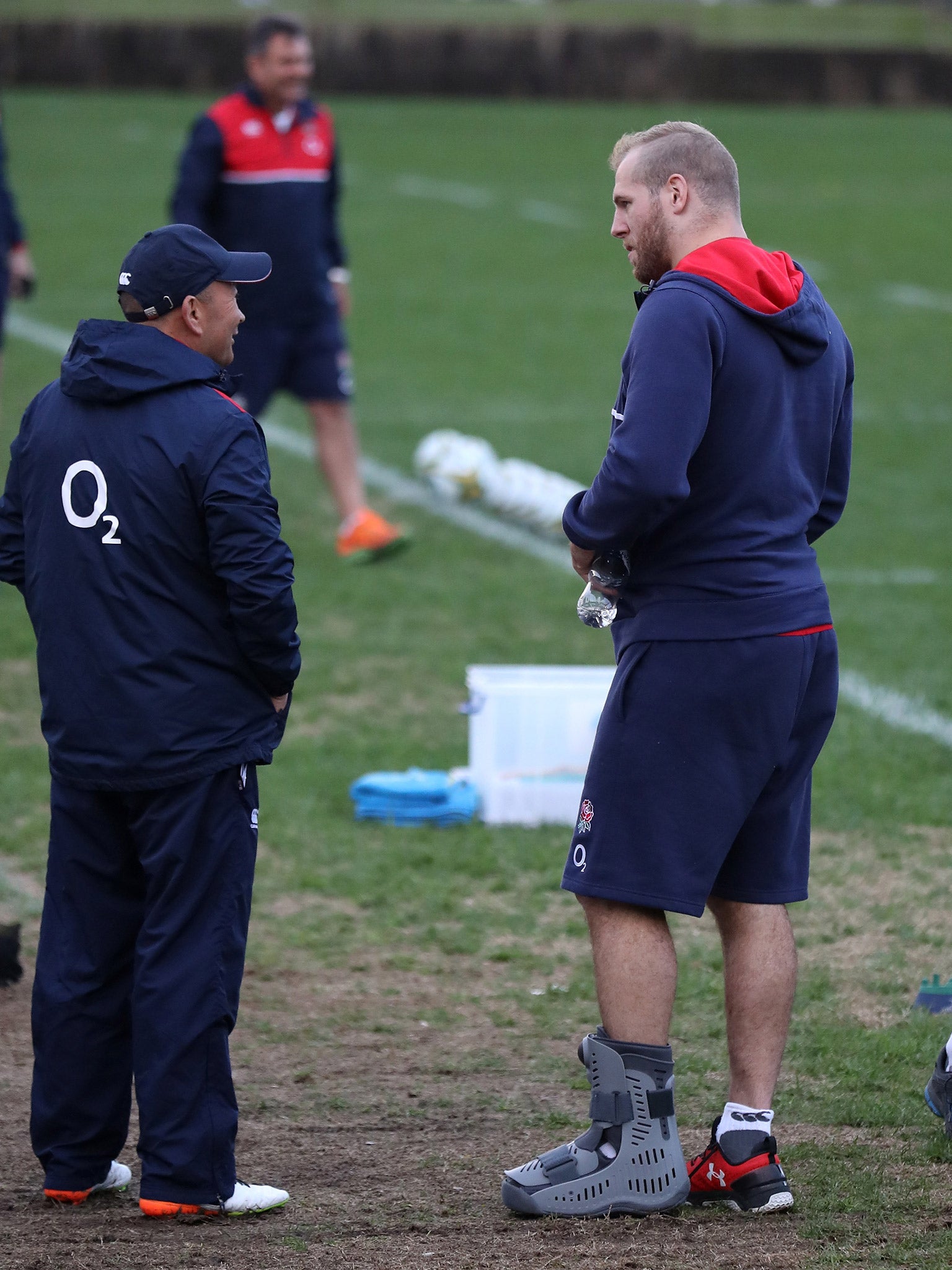 James Haskell suffered a left foot injury in the second Test