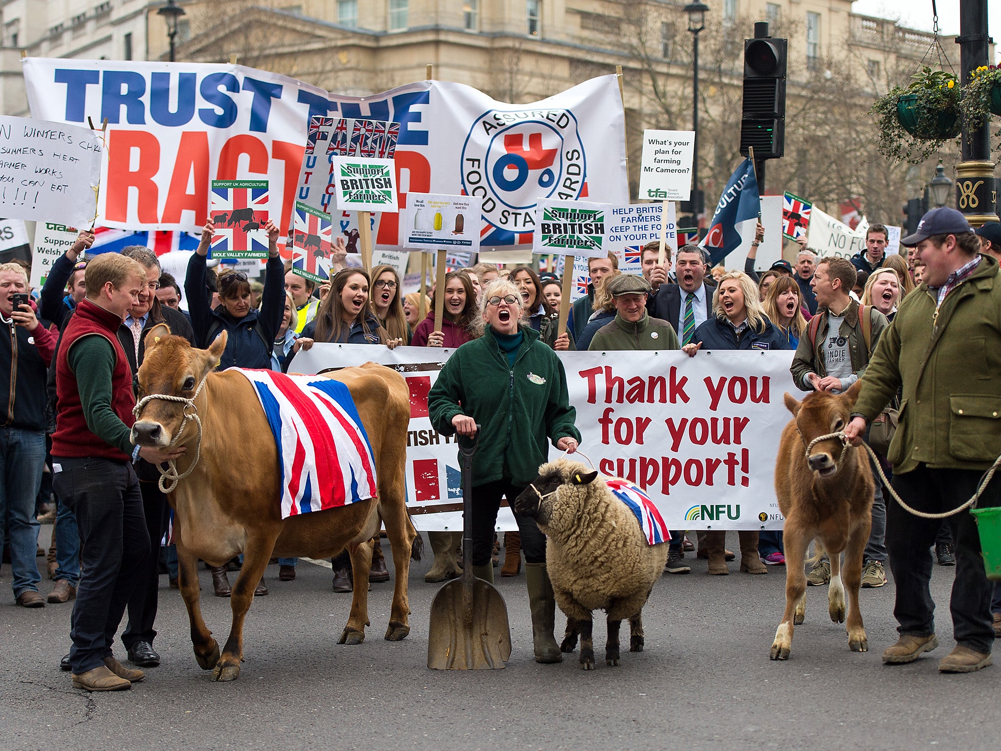 Farmers protest falling incomes after milk prices plummet in March 2016