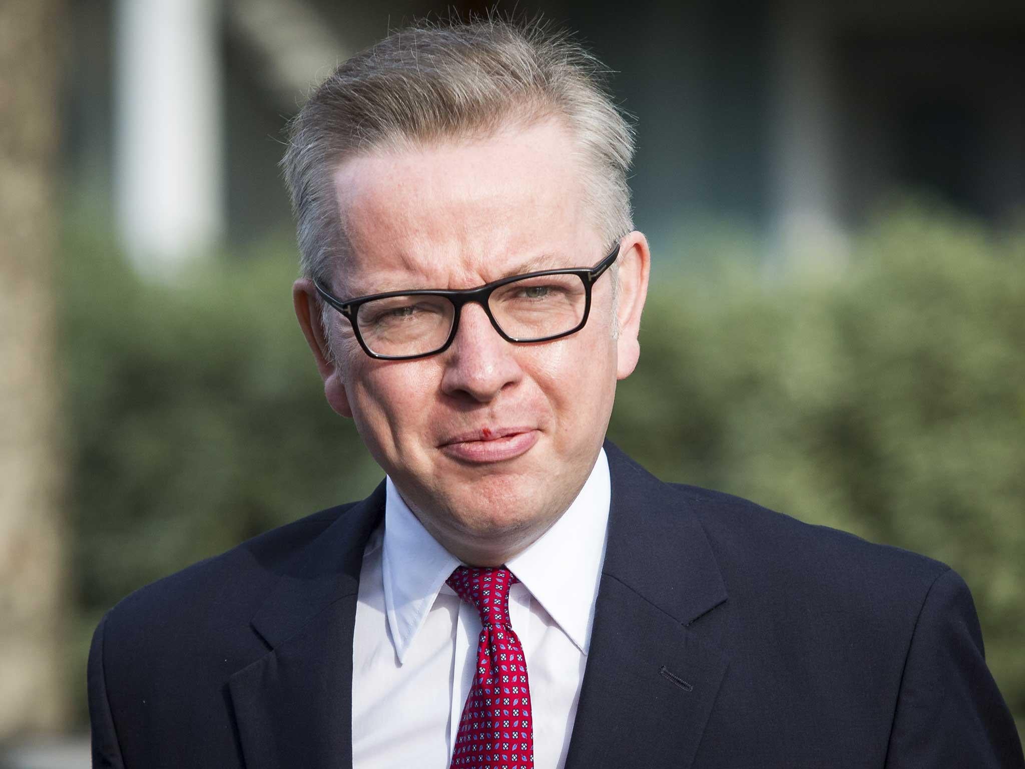 &#13;
Michael Gove is admired by Eurosceptic Conservatives &#13;