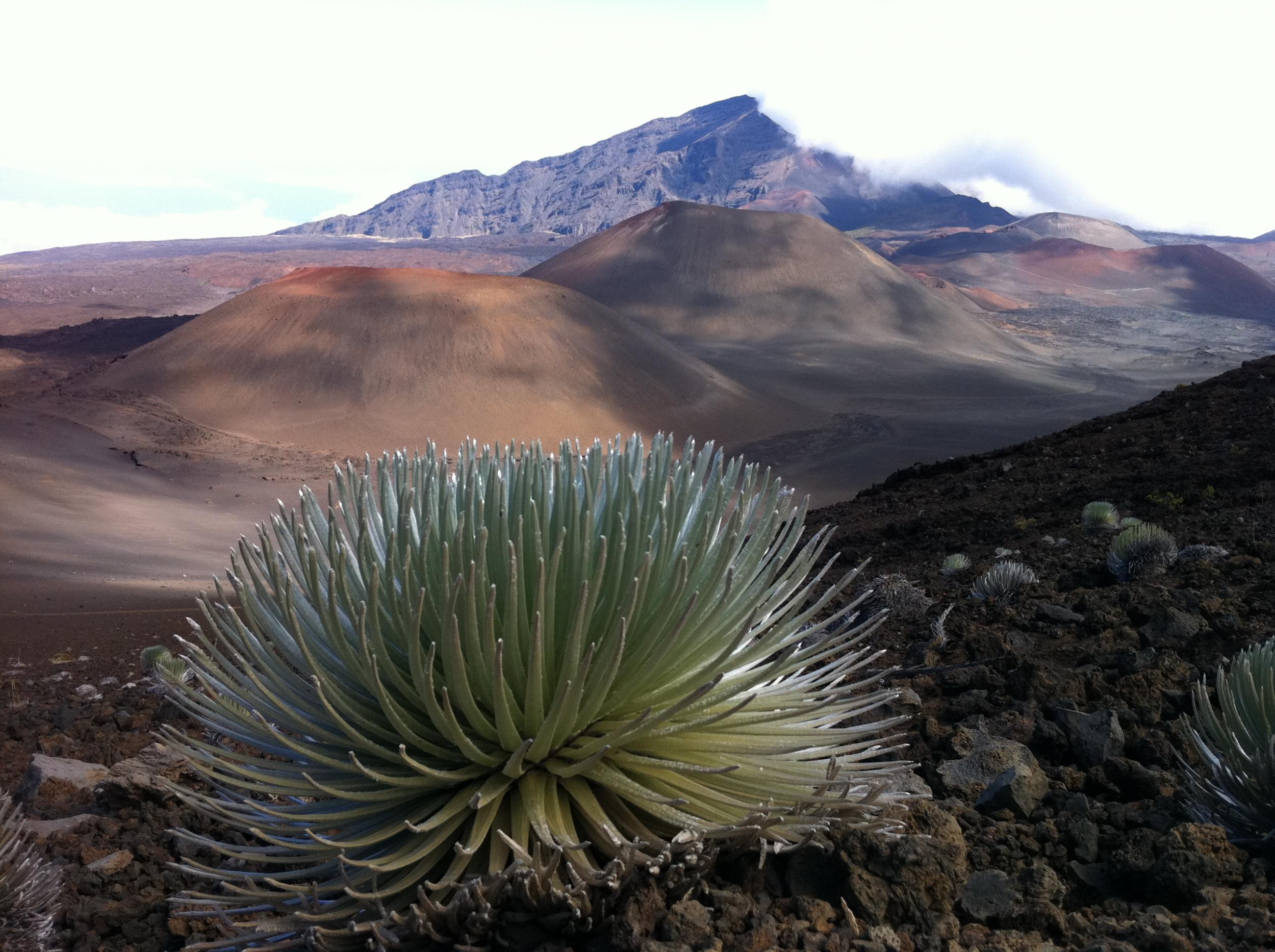 Haleakala National Park