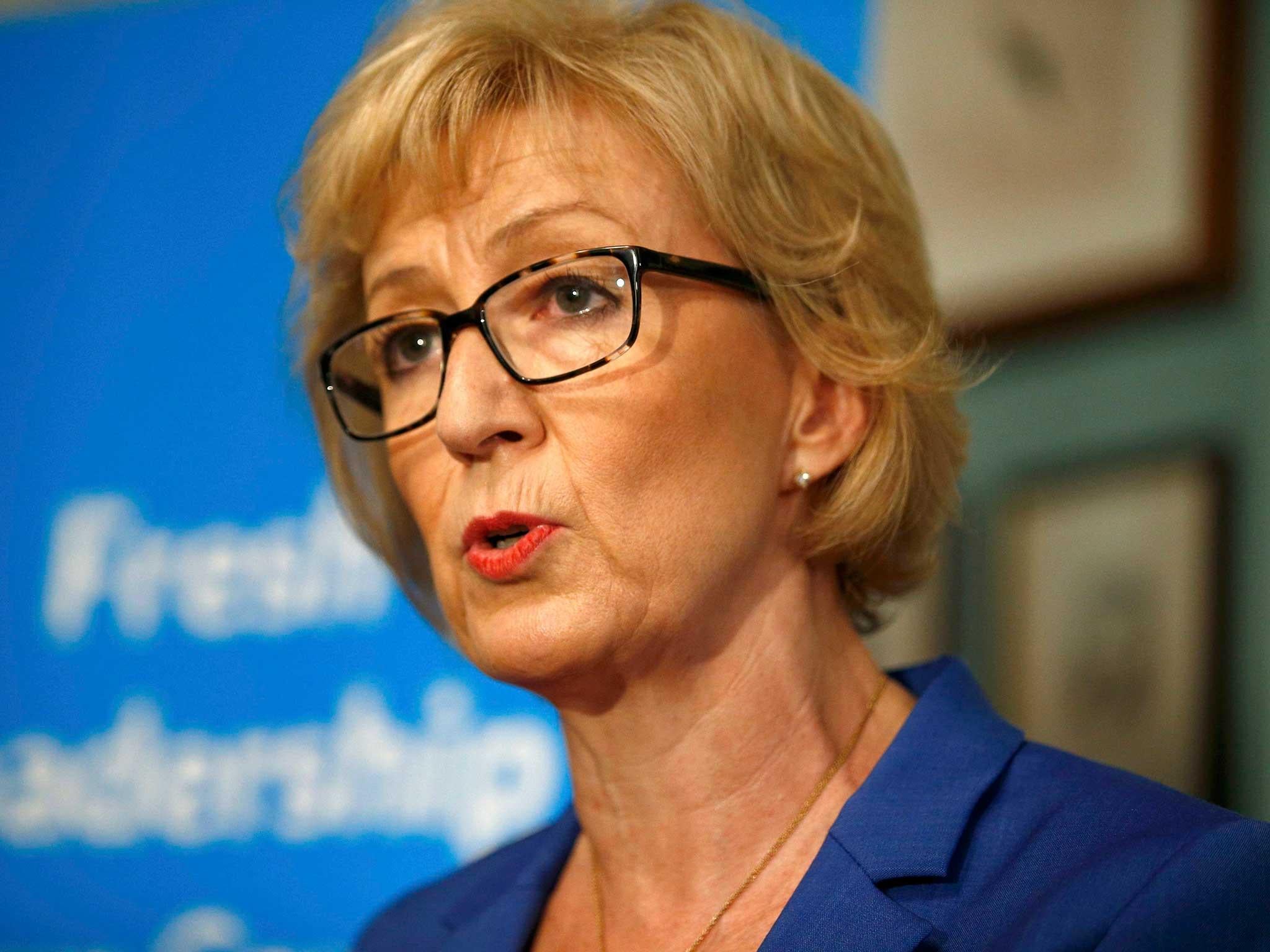 Mrs Leadsom has less frontline political experience than her rivals and is the only one to have never held a cabinet-level ministerial position