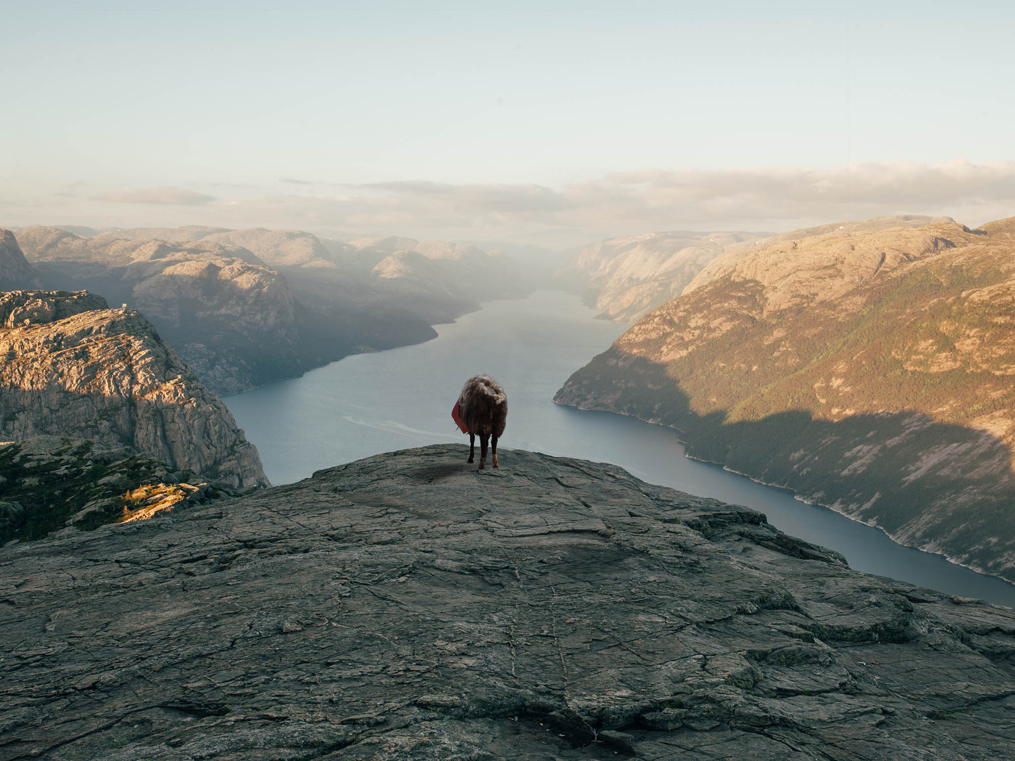 The best view George found was up a steep mountainside that had no obvious track up to it