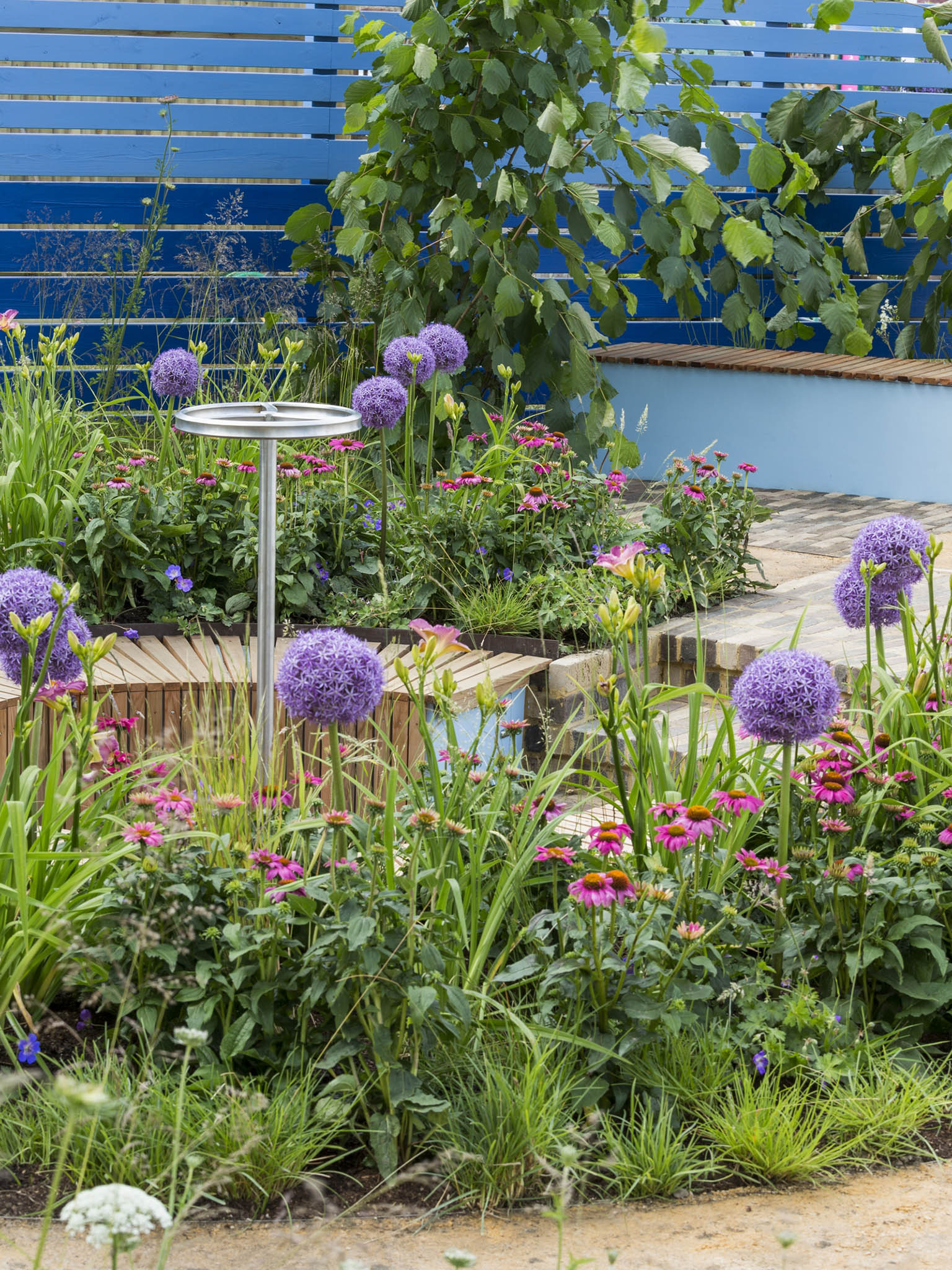 Cancer Research UK's Life Garden. Designed by Antonia Young