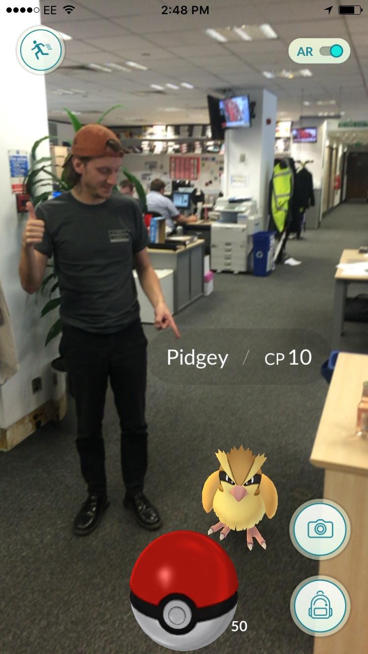 Chasing down a Pidgey in the office (Pic: Christopher Hooton)