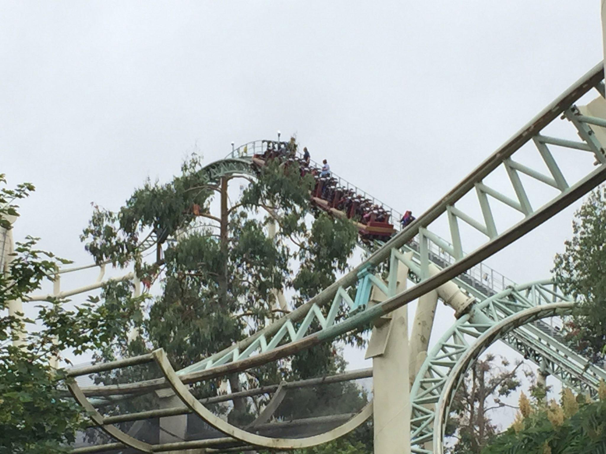 Riders were walked down the ride to safety