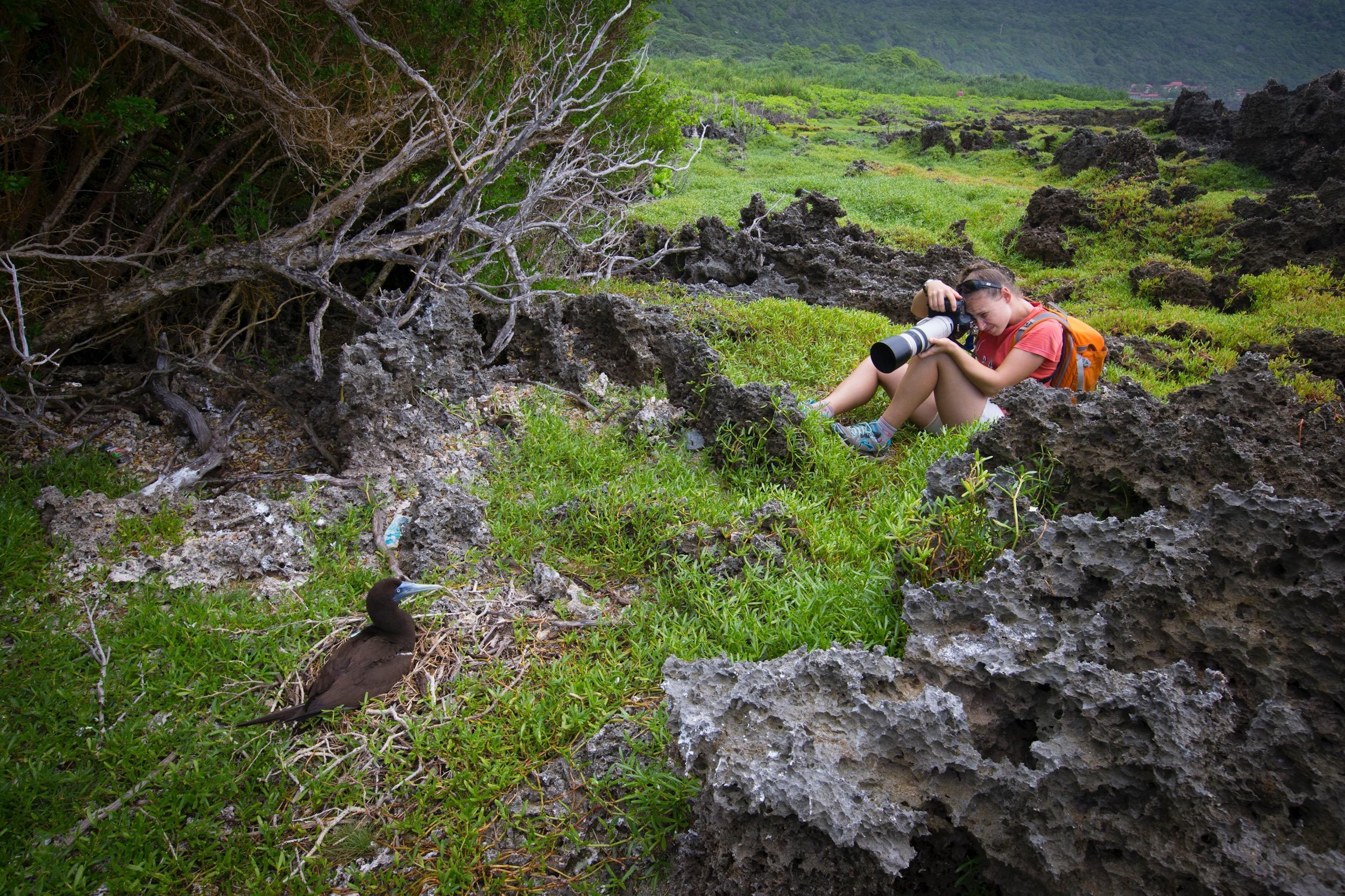 Wildlife photography on Christmas Island