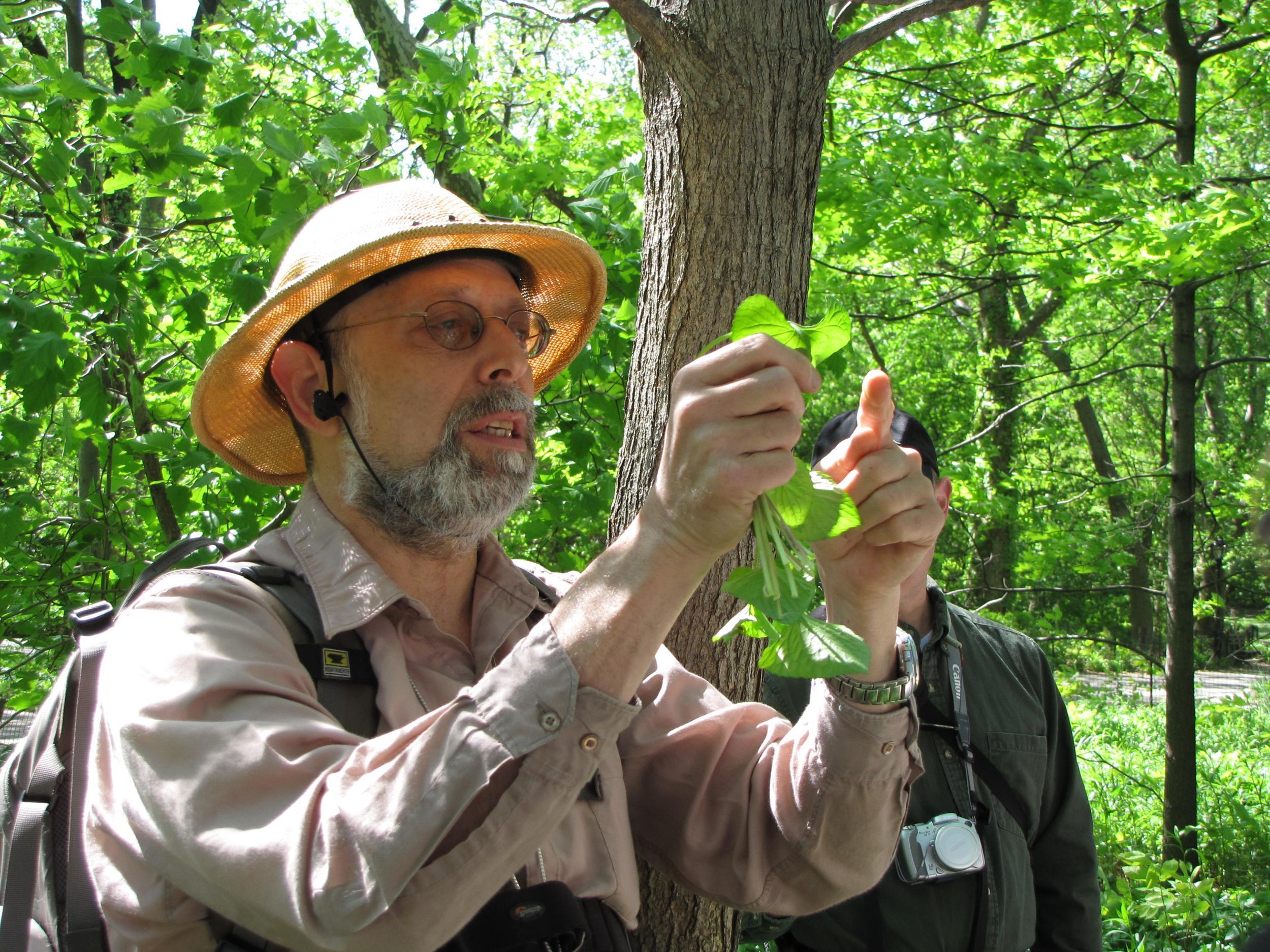 Steve "Wildman" Brill on one of his foraging tours