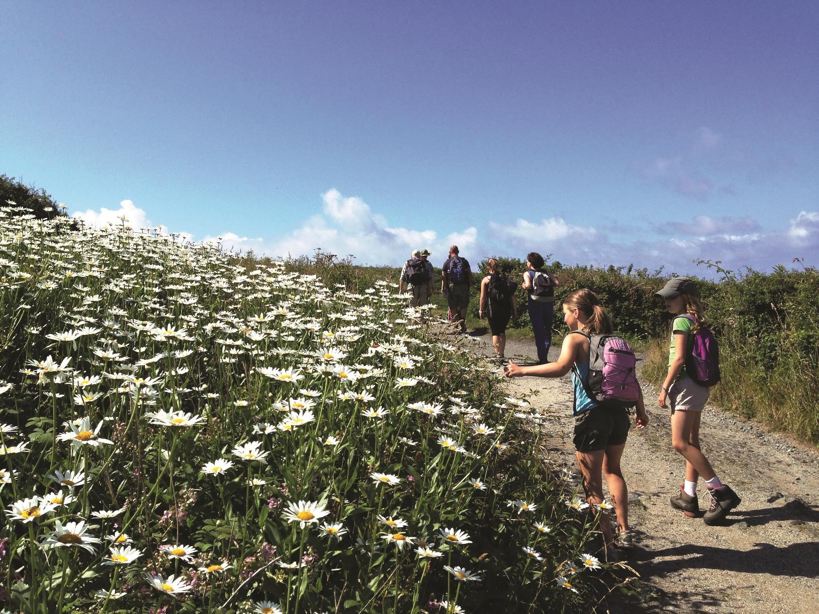 Walking in north Cornwall