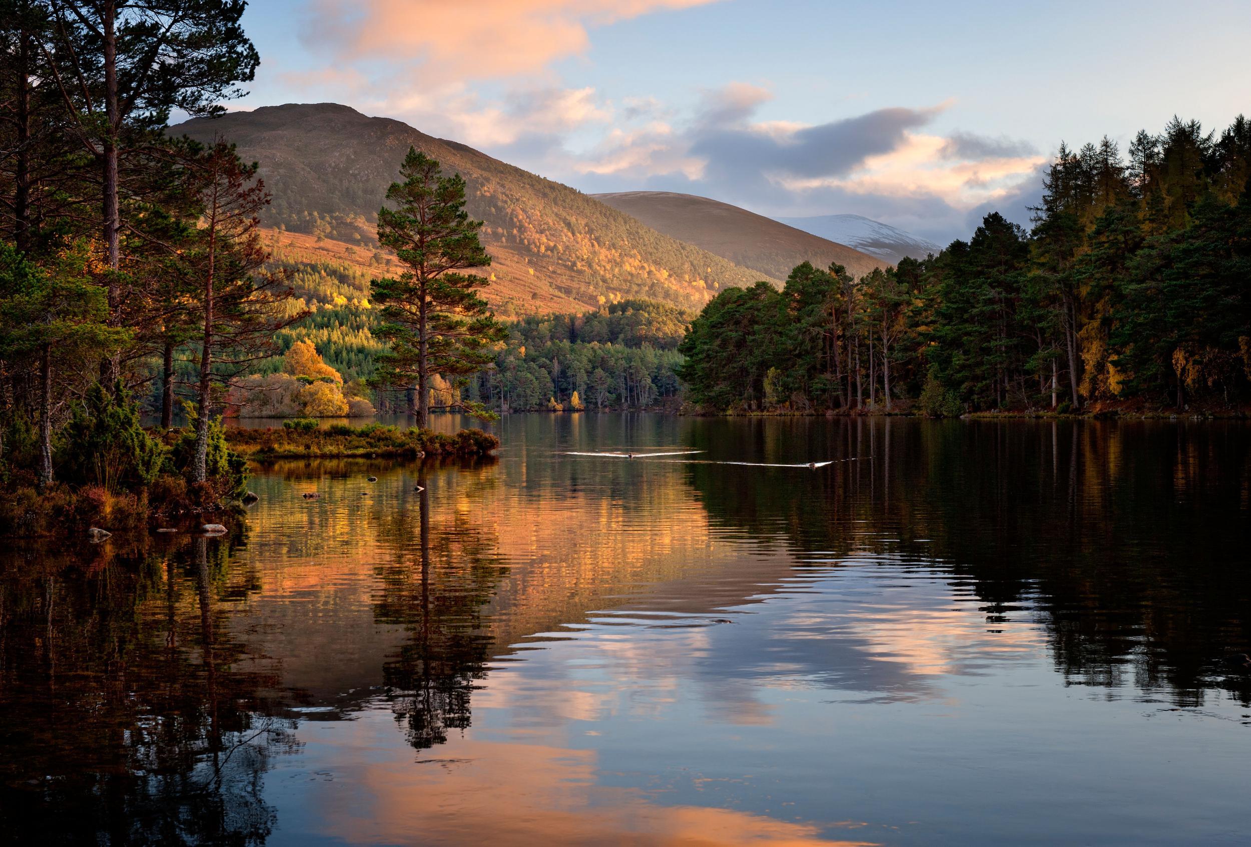 Loch An Eilein, Cairngorms