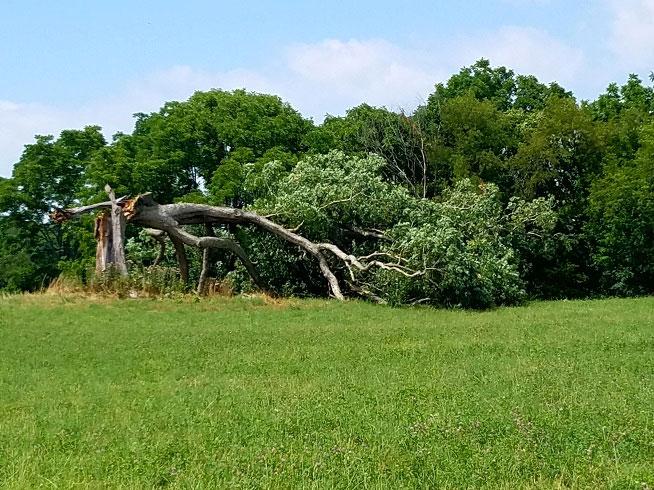 (Photo: Mansfield/Richland County Convention &amp; Visitors Bureau)