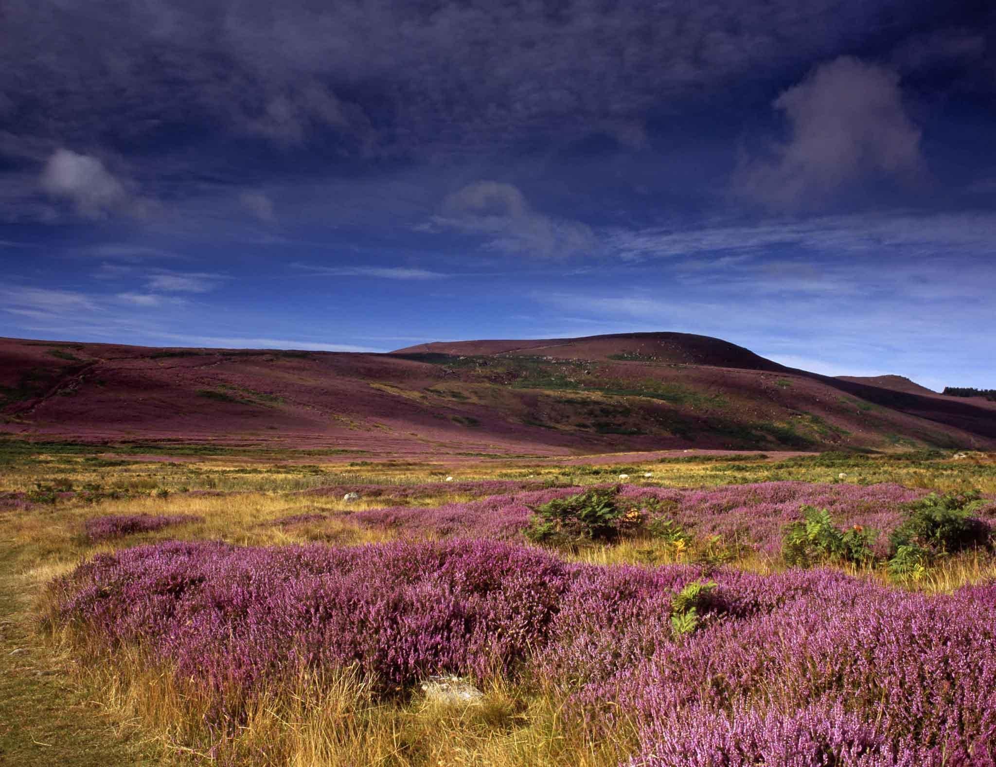 Simonside Hills, Northumberland