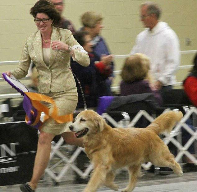 The truck - and six of the dogs - belonged to Cortney Corral-Morris, a professional show dog handler from Ohio