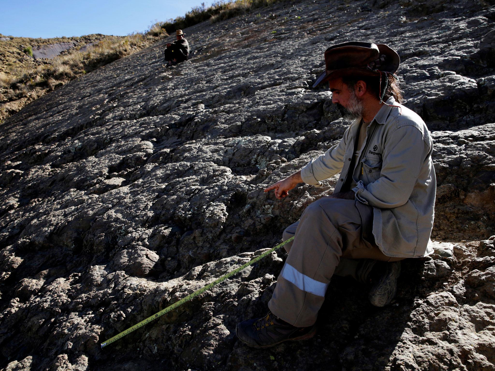 Paleontologist Sebastian Apesteguia points out the giant footprint