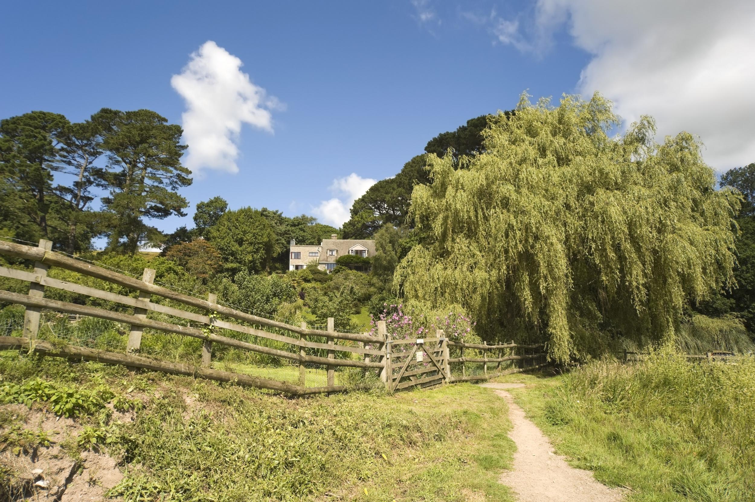 A stretch of the walk leading to the Avon, just downriver from Loddiswell